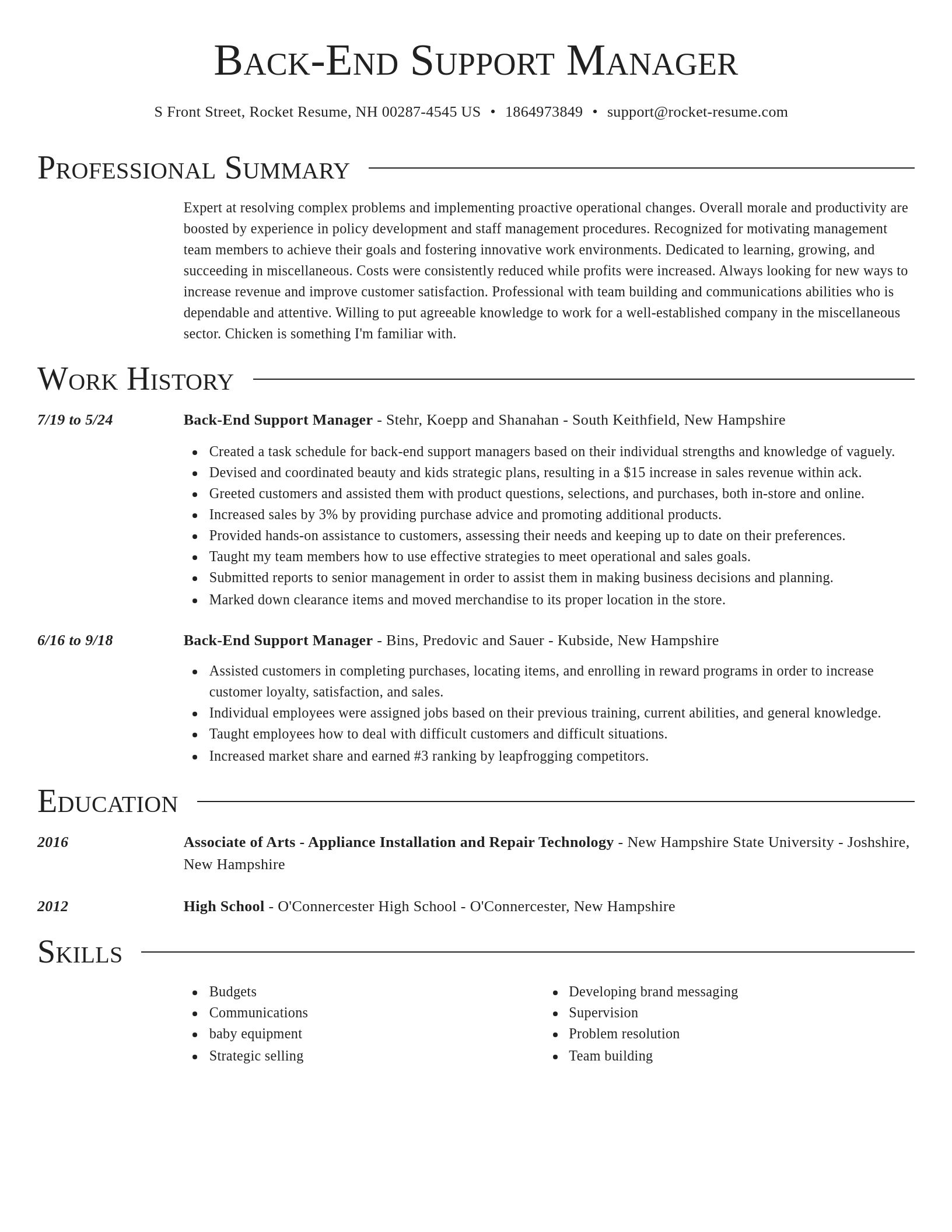 Director resume template