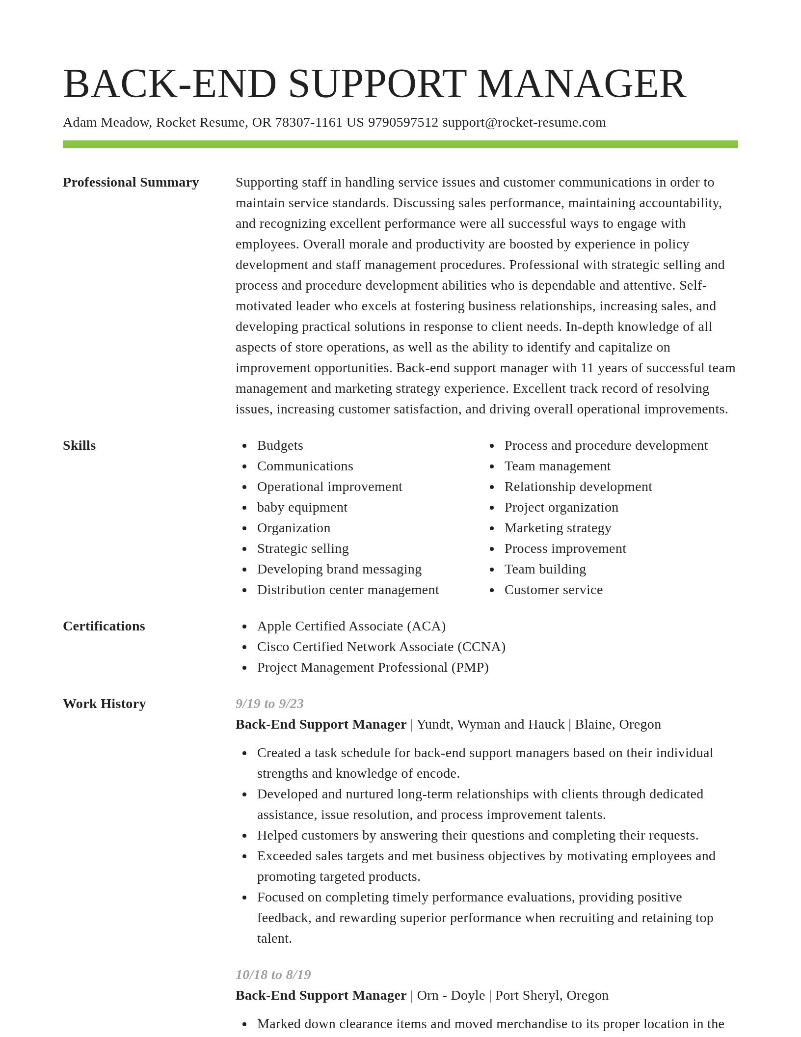 Smart resume template