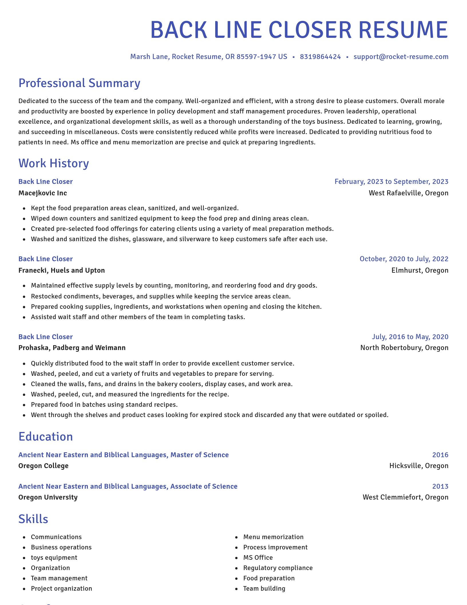 Novel resume template