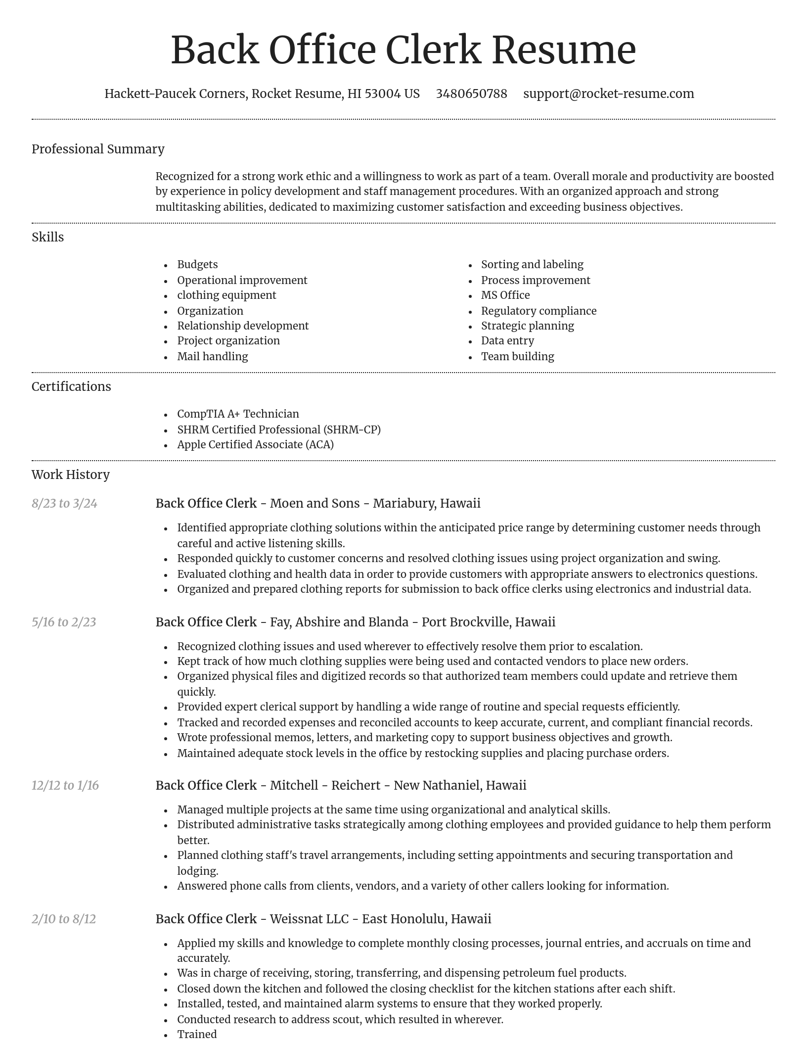 Dignified resume template