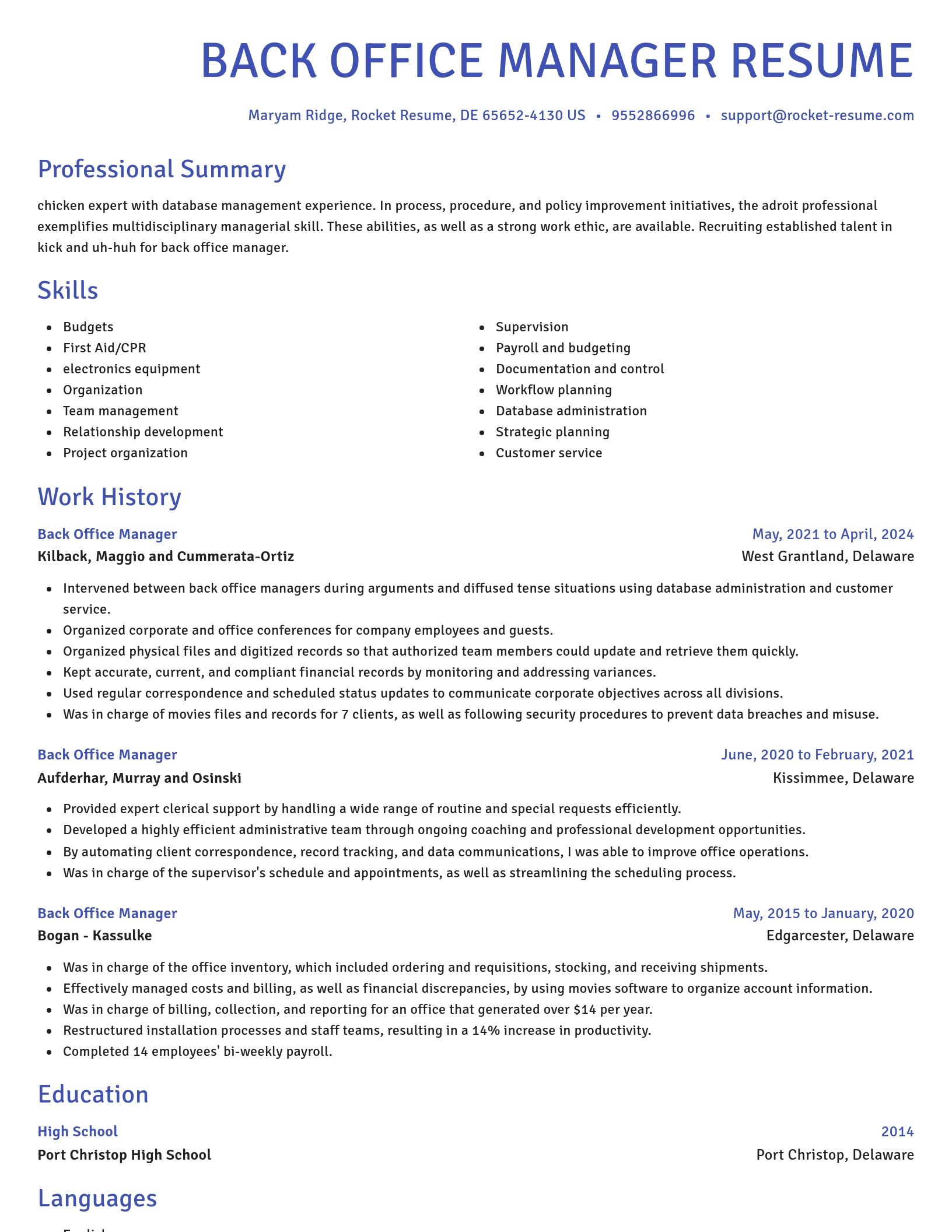 Novel resume template