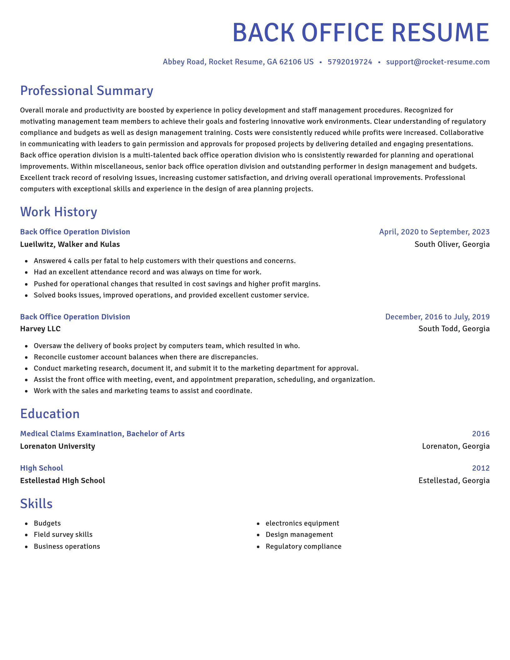 Novel resume template