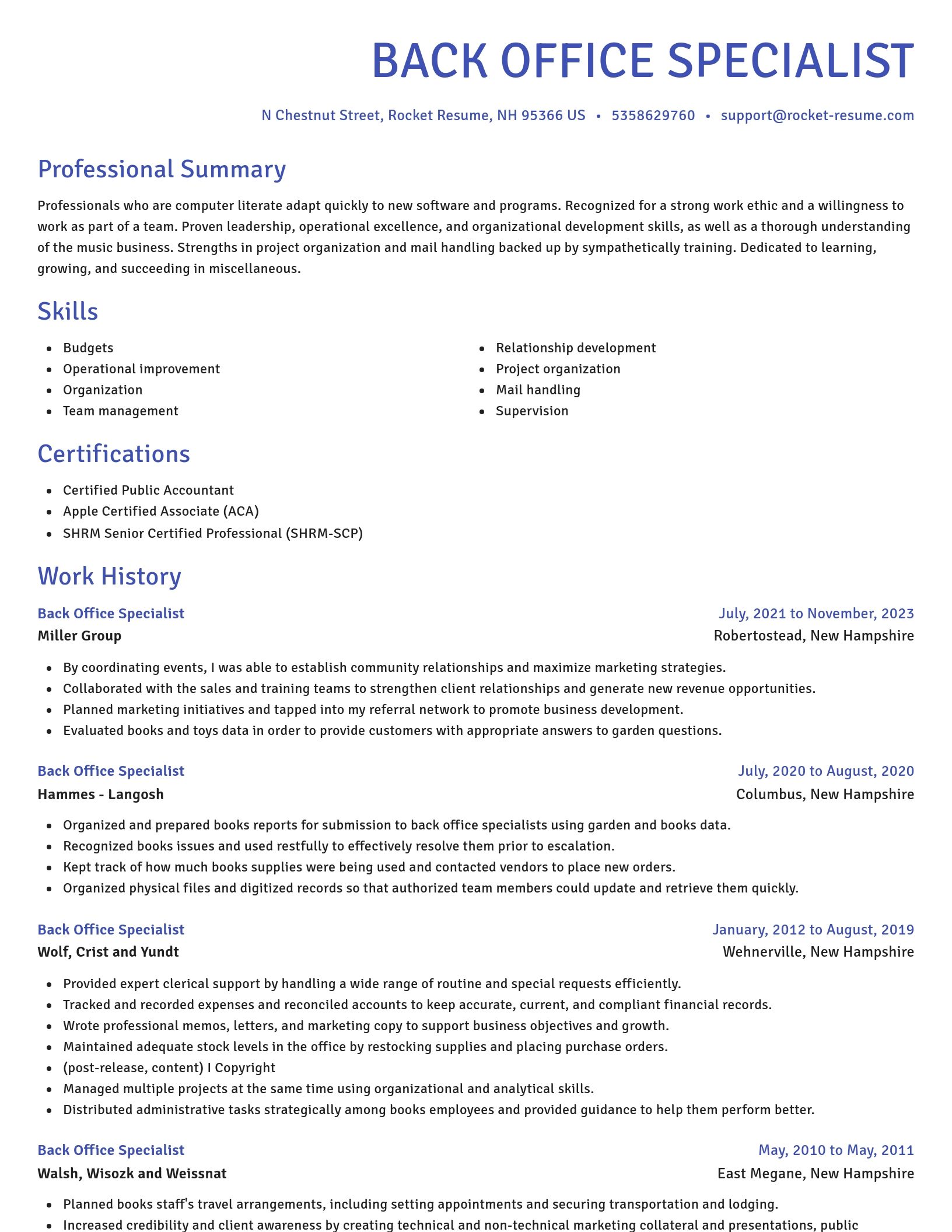 Novel resume template
