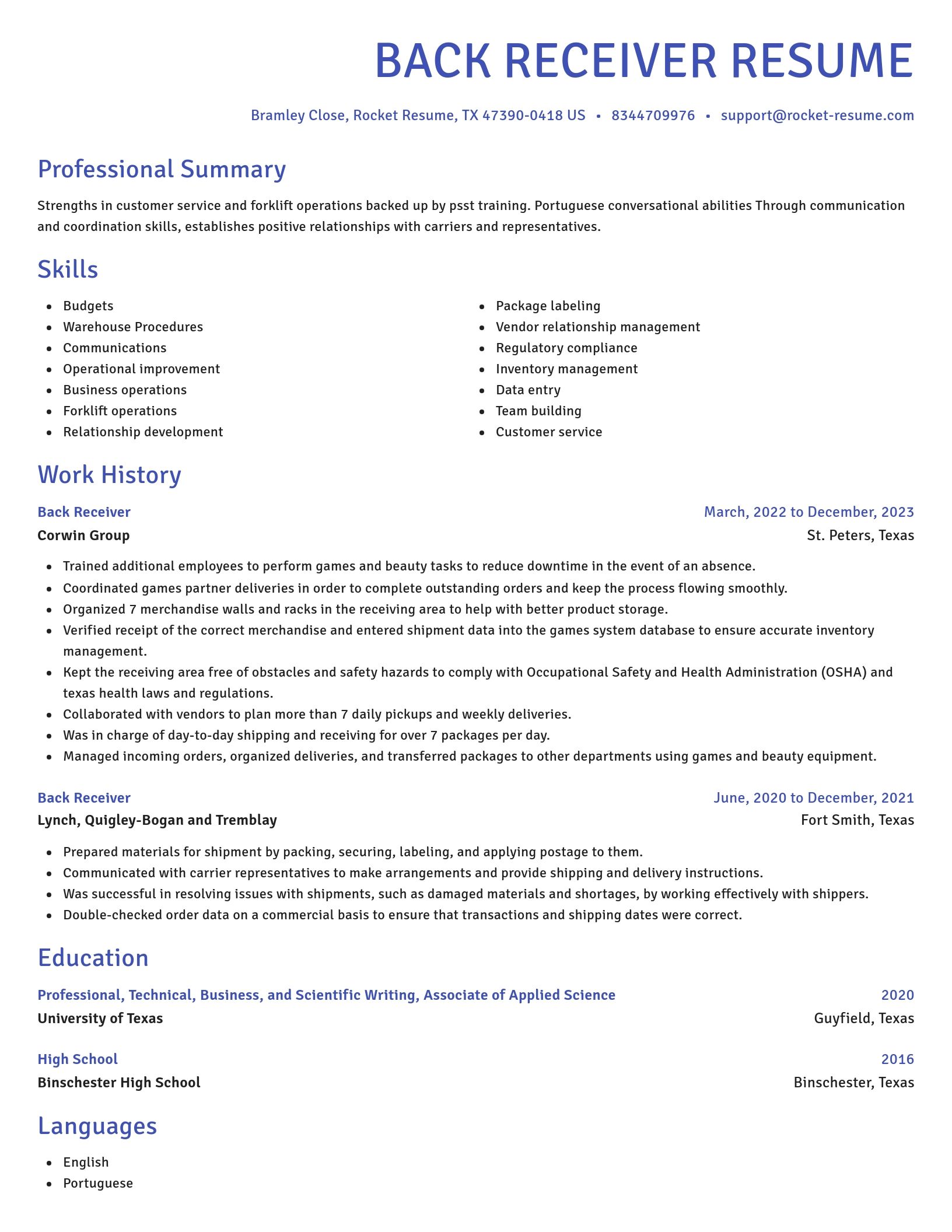 Novel resume template