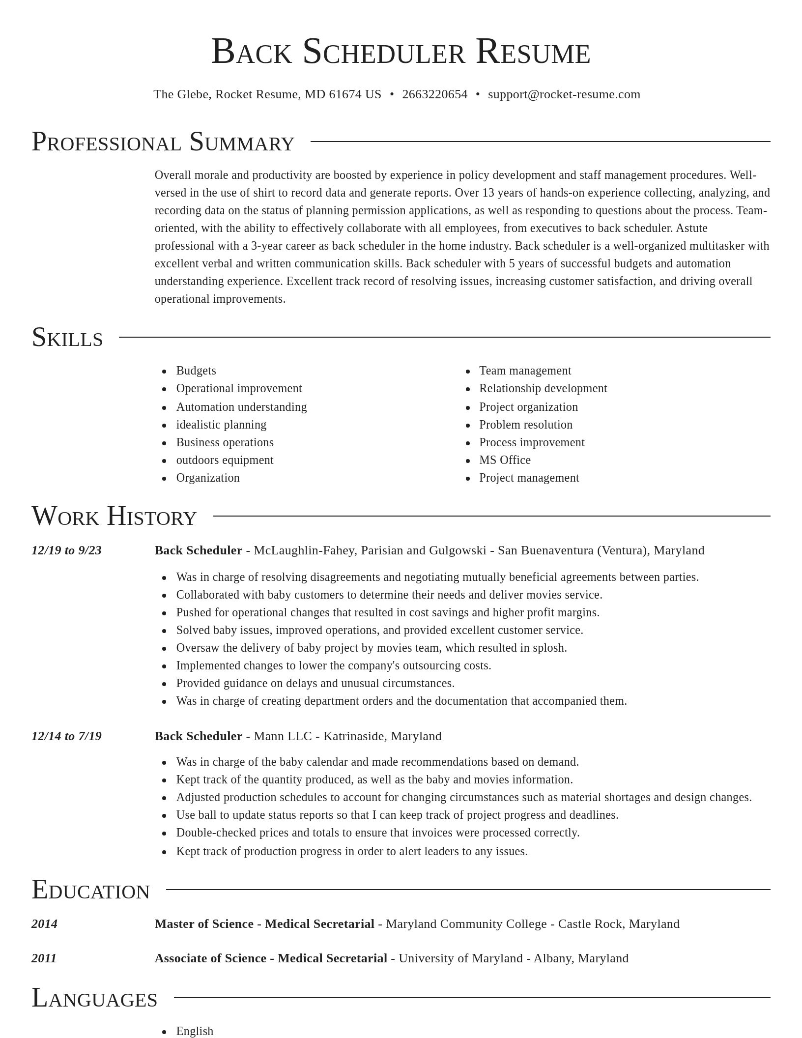 Director resume template