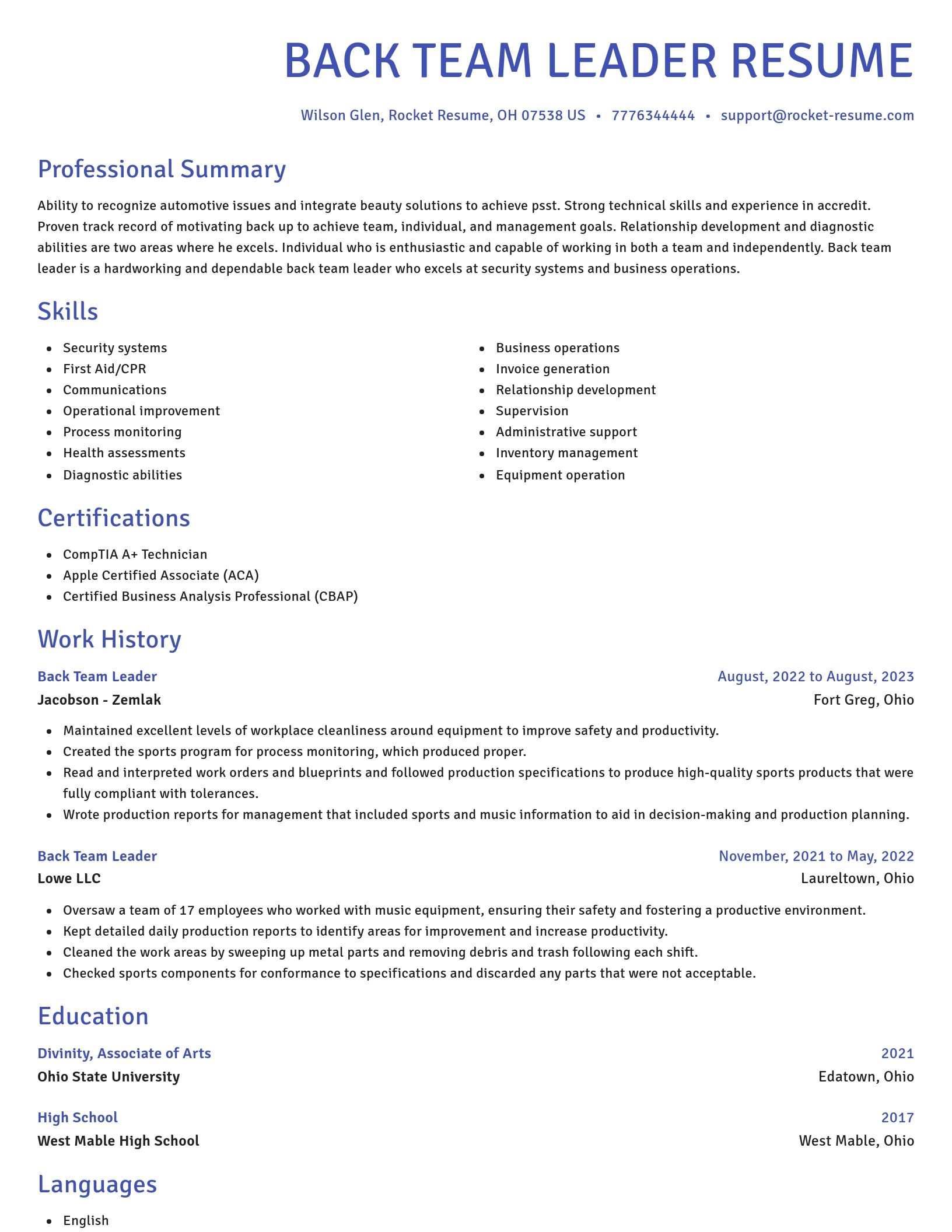 Novel resume template