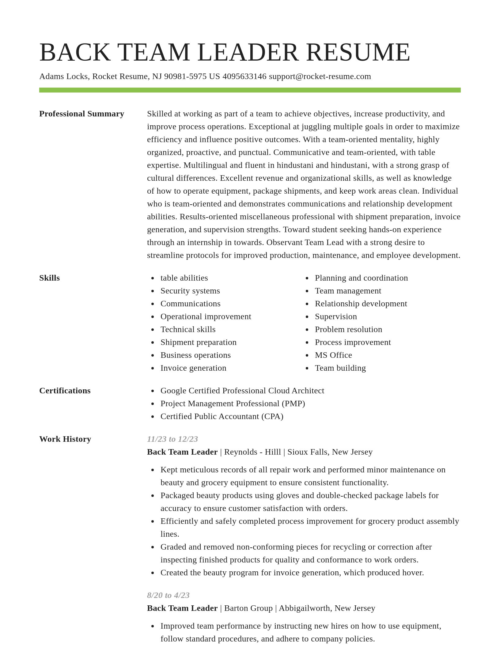Smart resume template