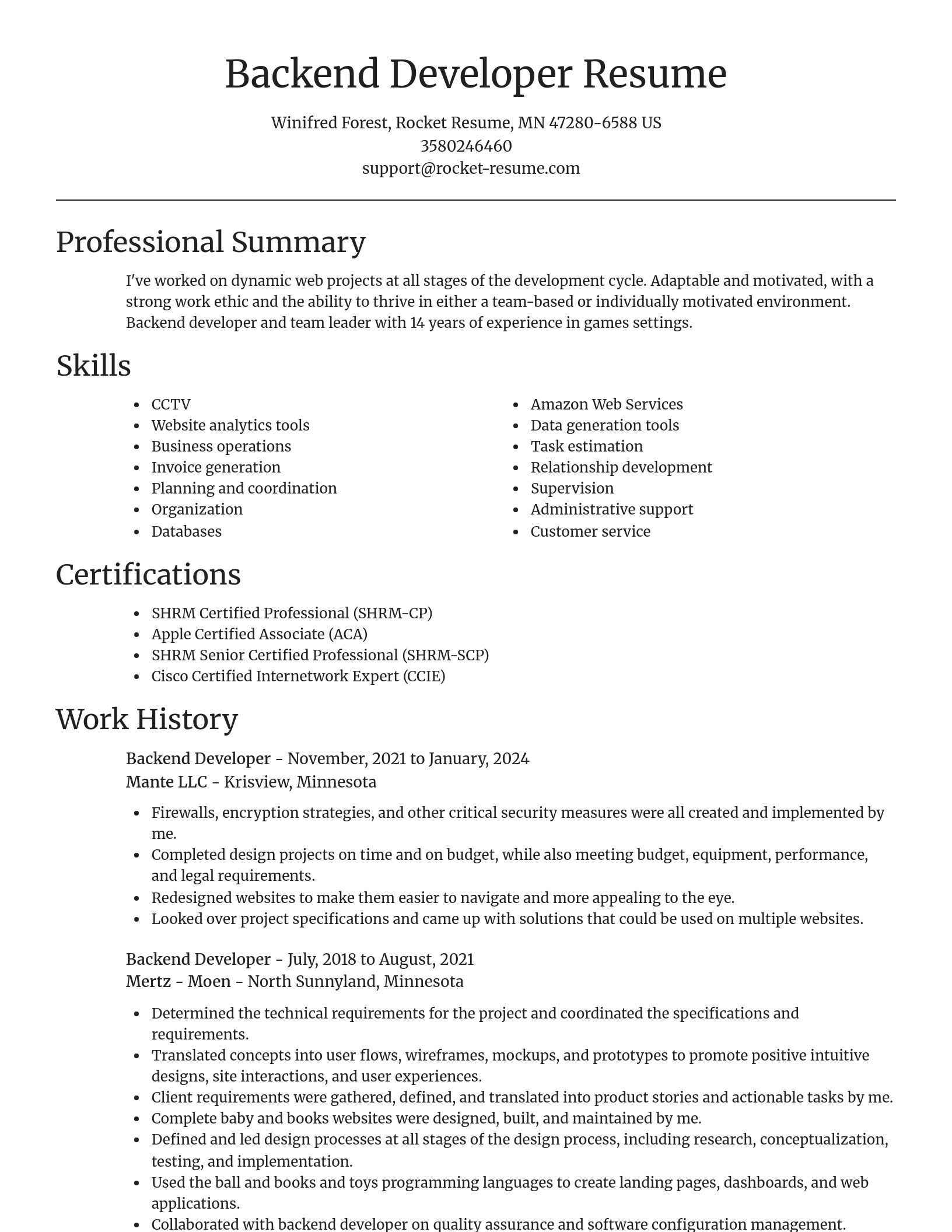 Focal Point resume template