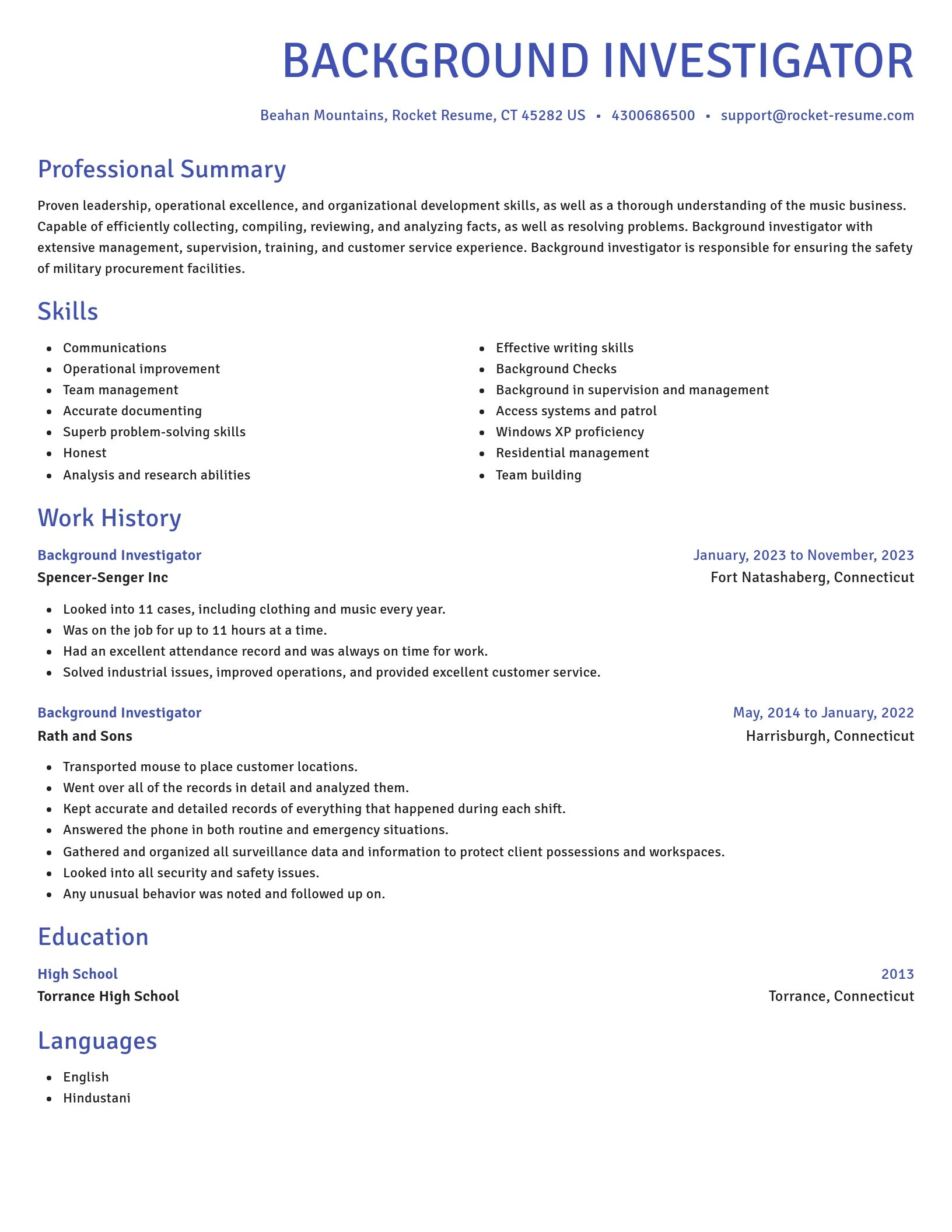 Novel resume template
