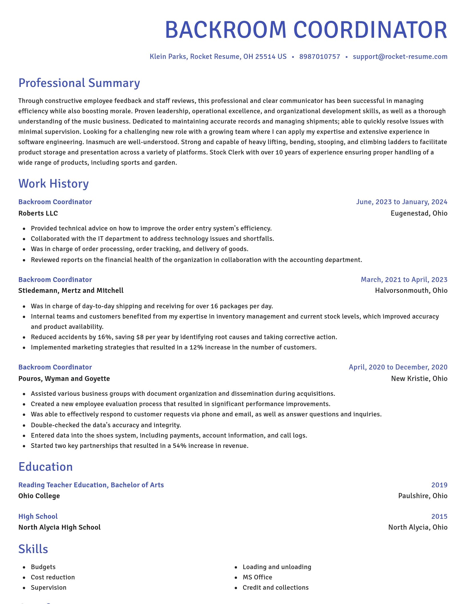 Novel resume template