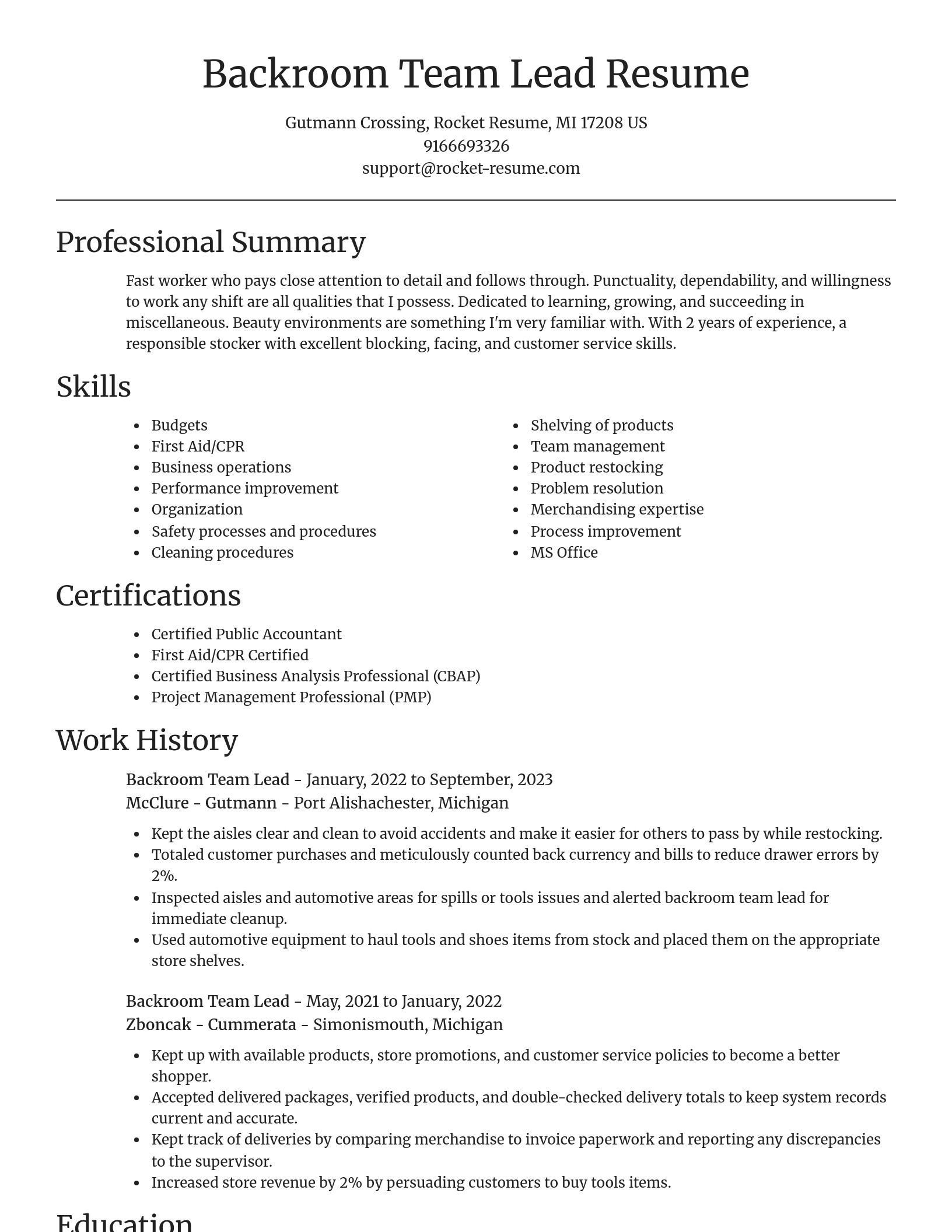 Focal Point resume template