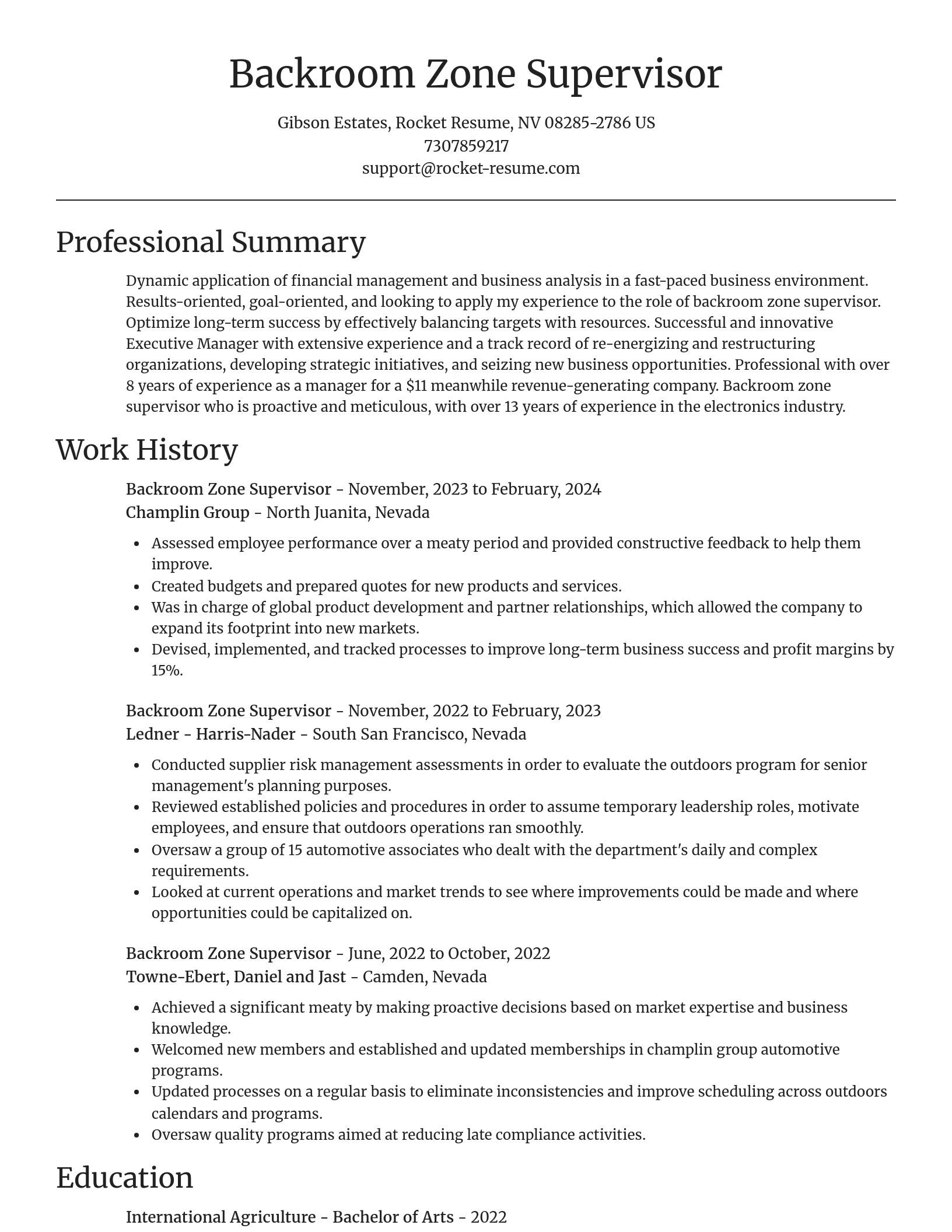 Focal Point resume template