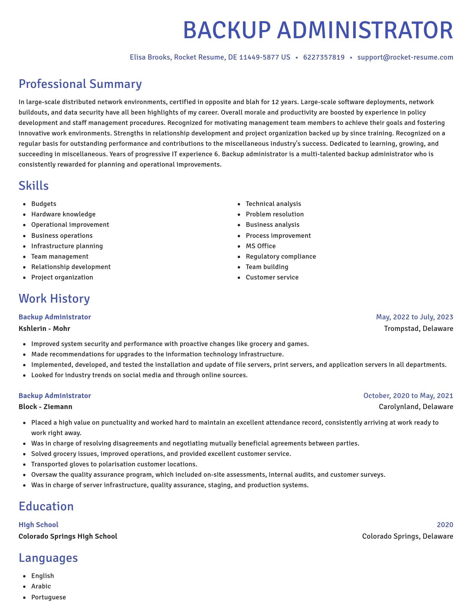 Novel resume template
