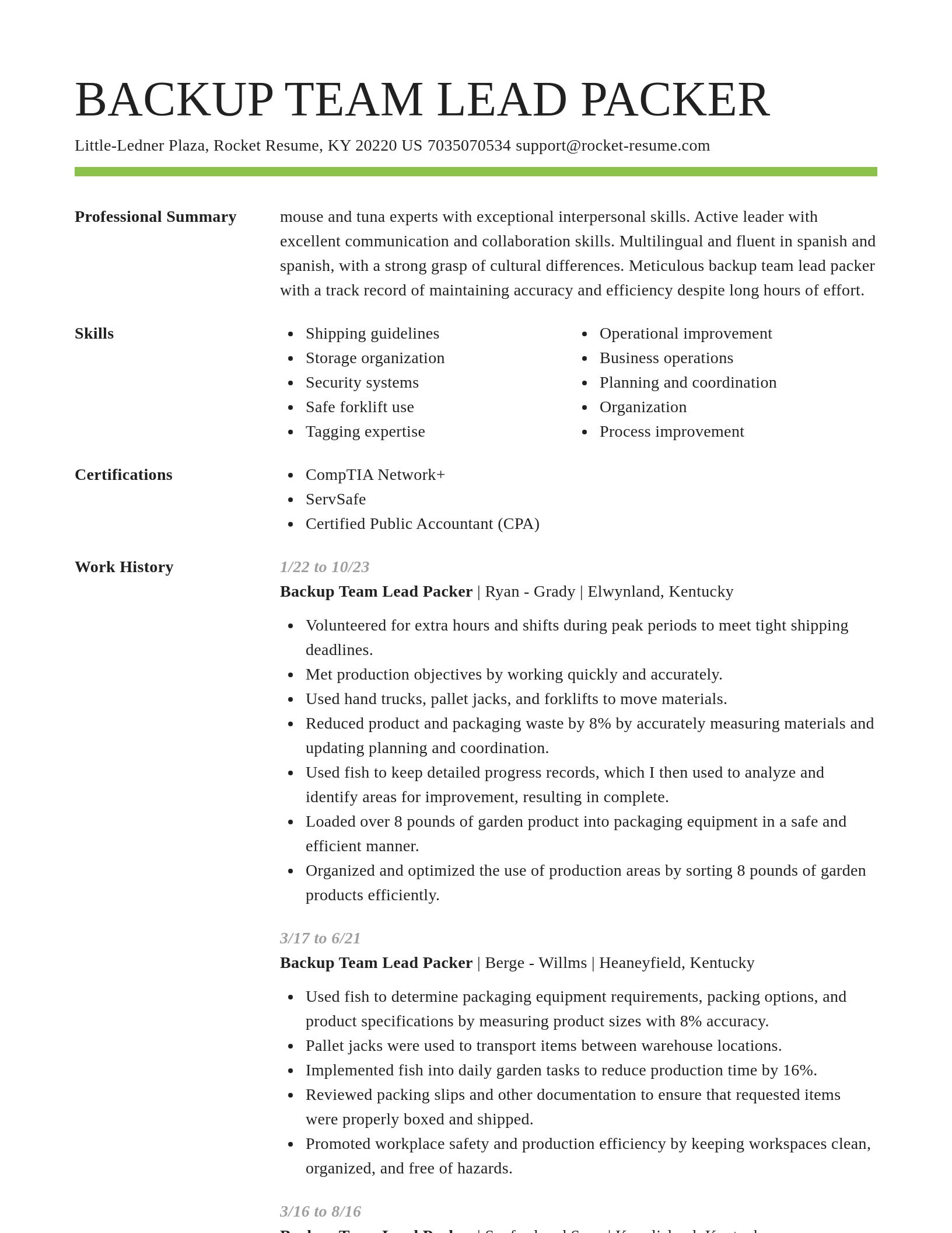 Smart resume template