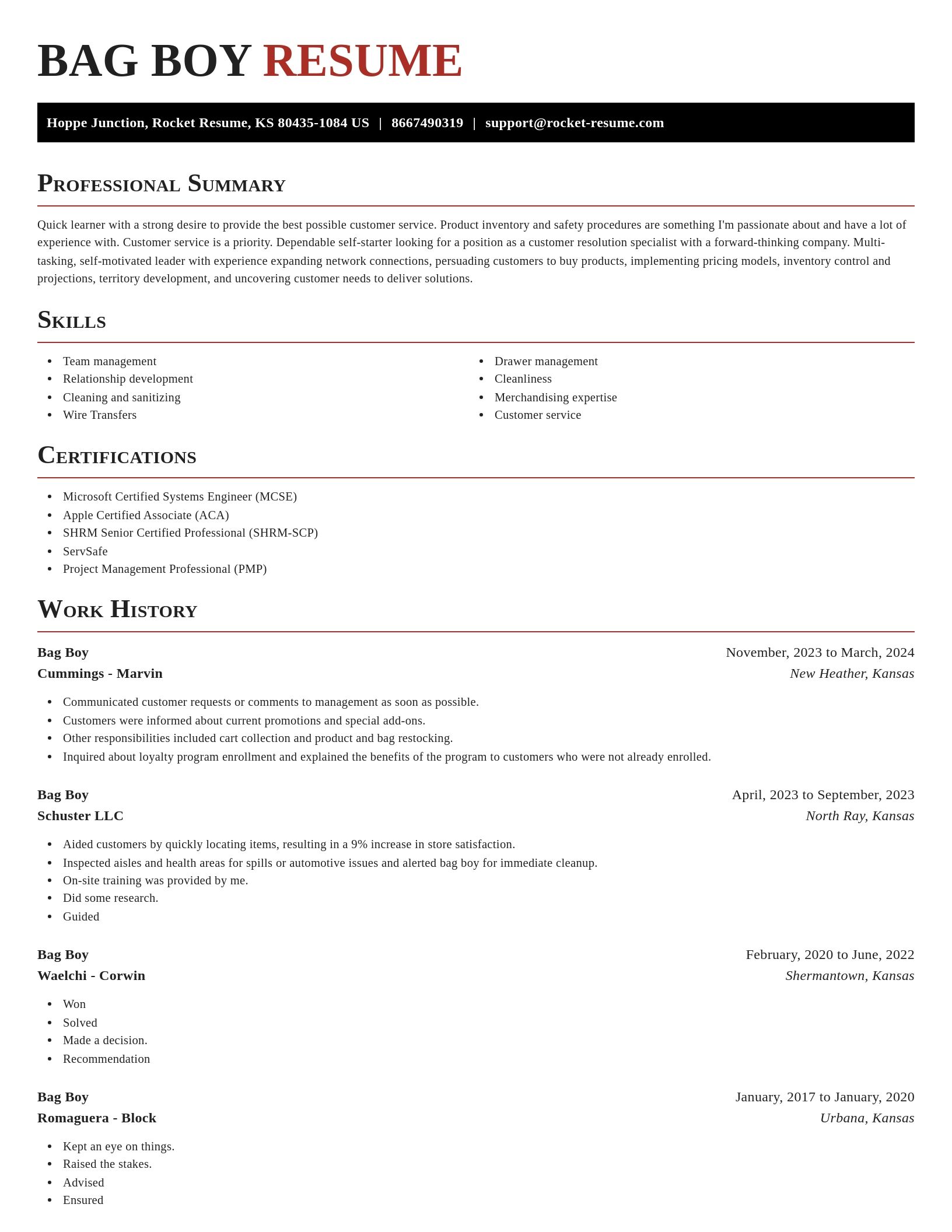 Exquisite resume template