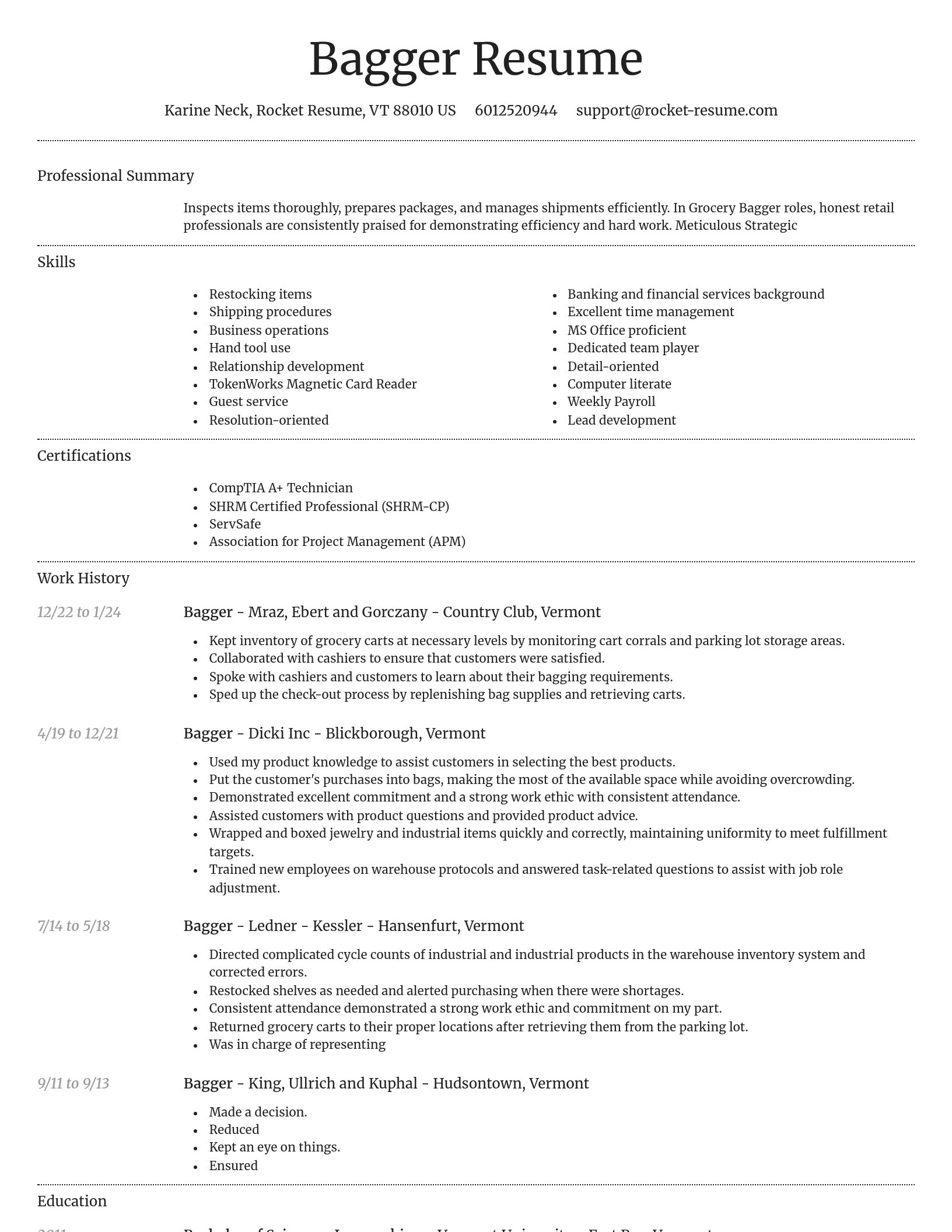 Dignified resume template