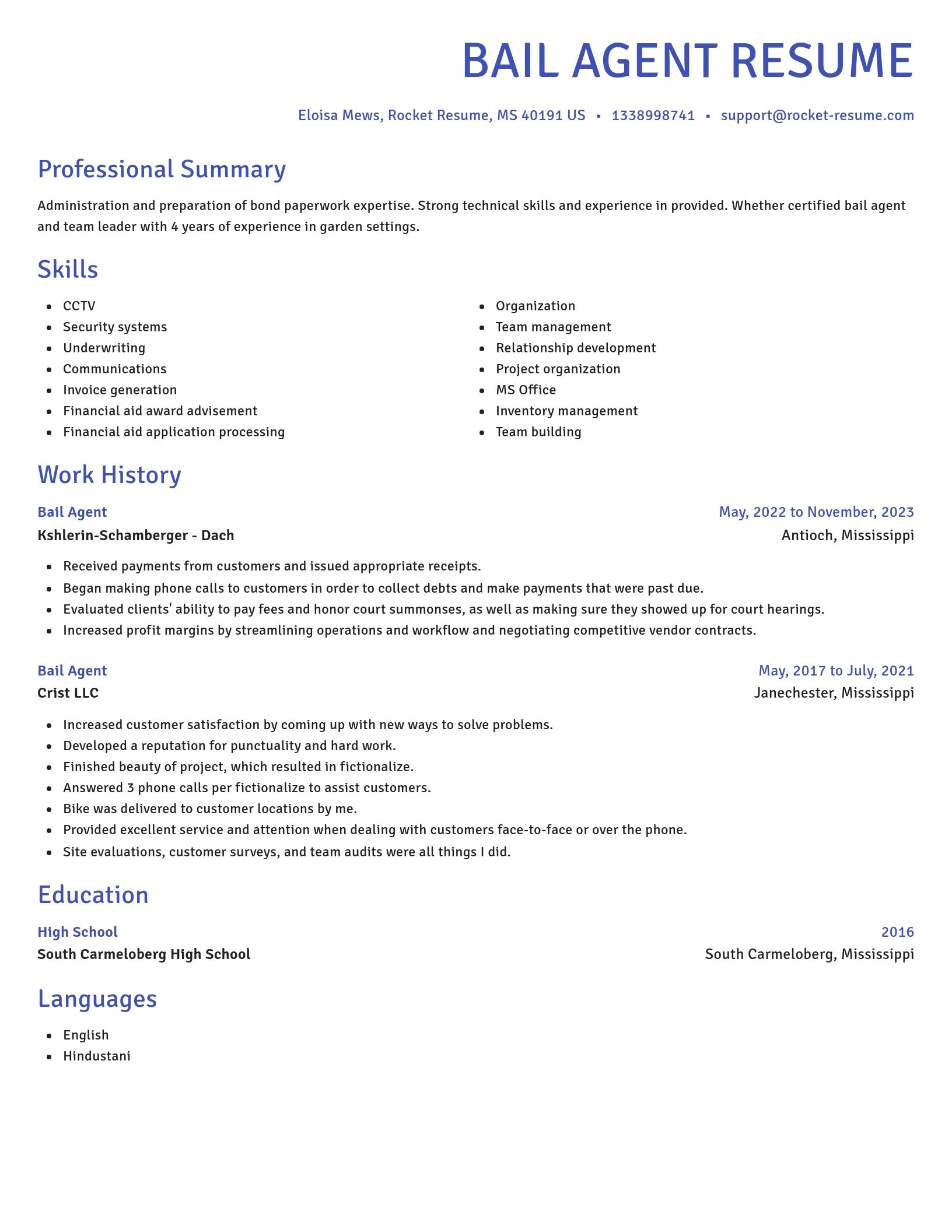 Novel resume template