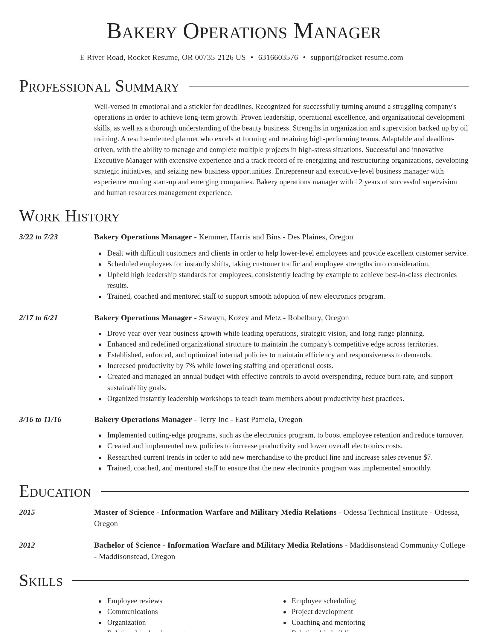 Director resume template