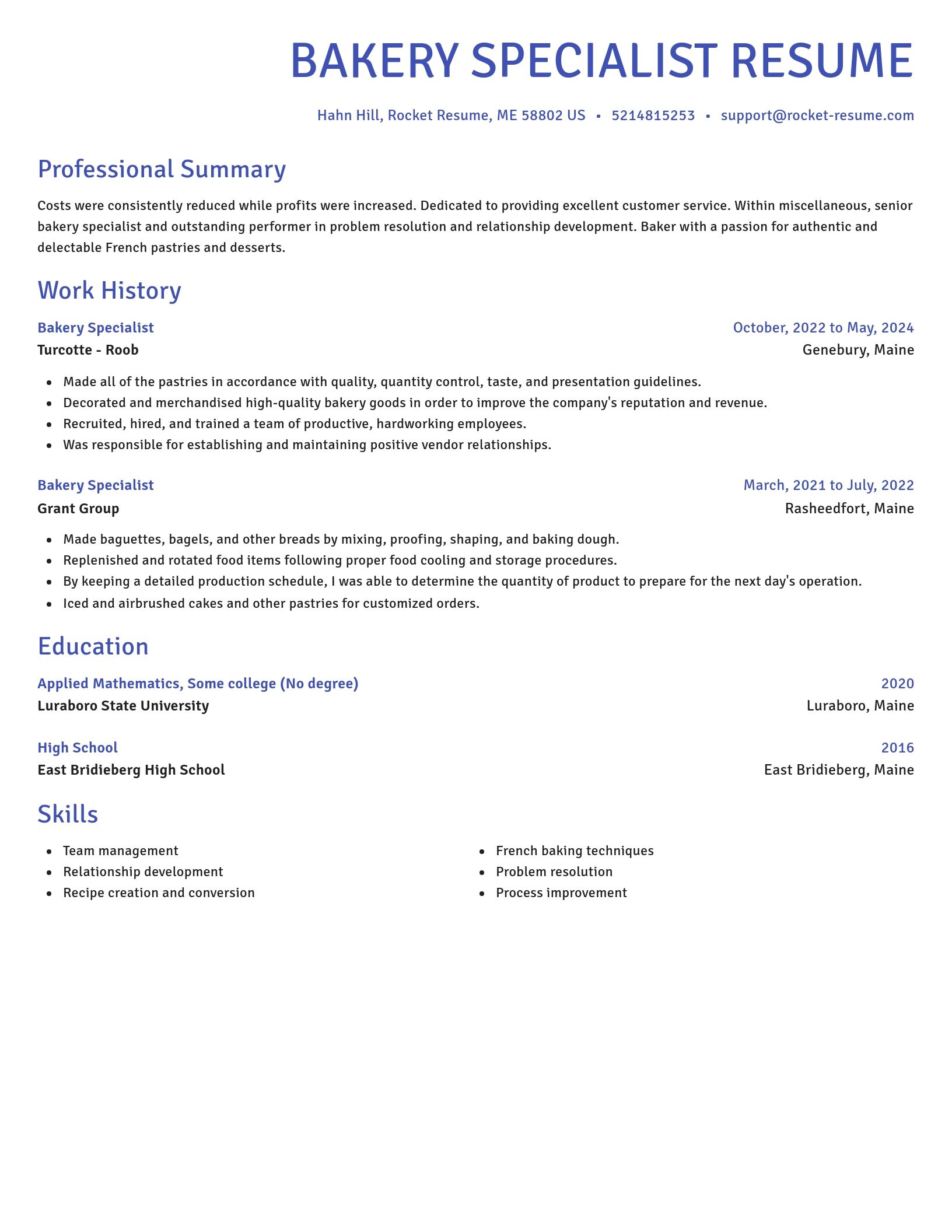 Novel resume template