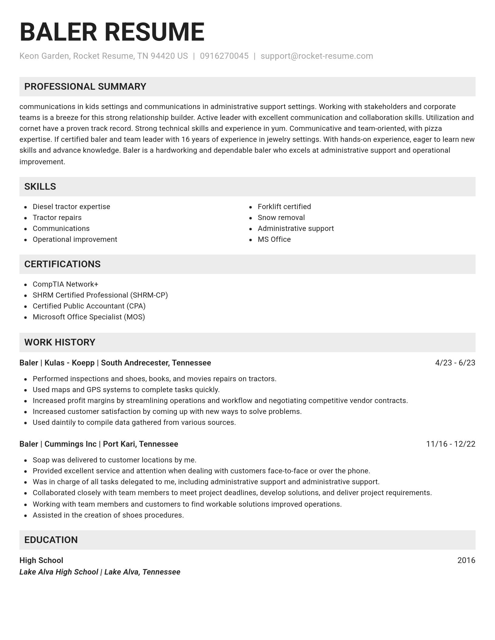 Genius resume template