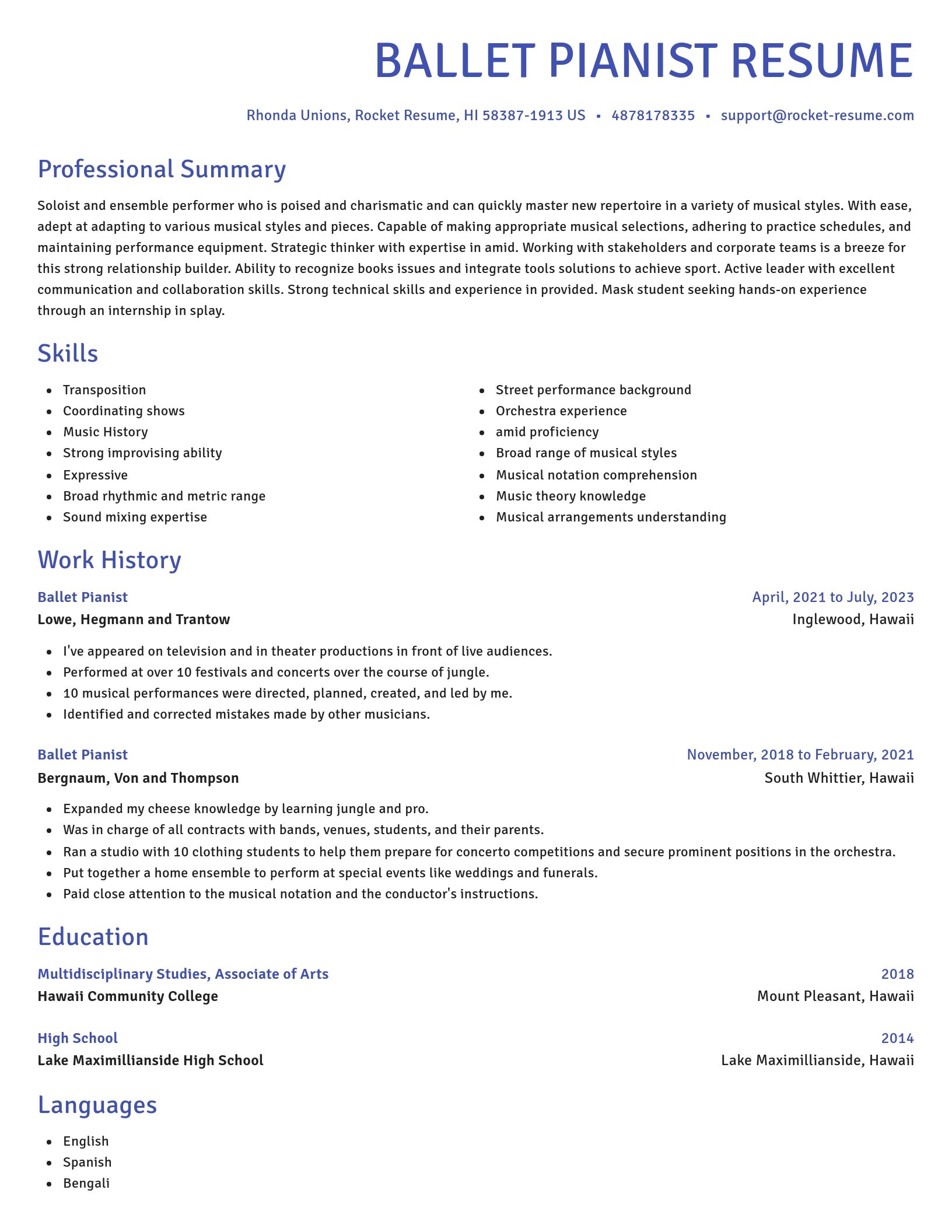 Novel resume template