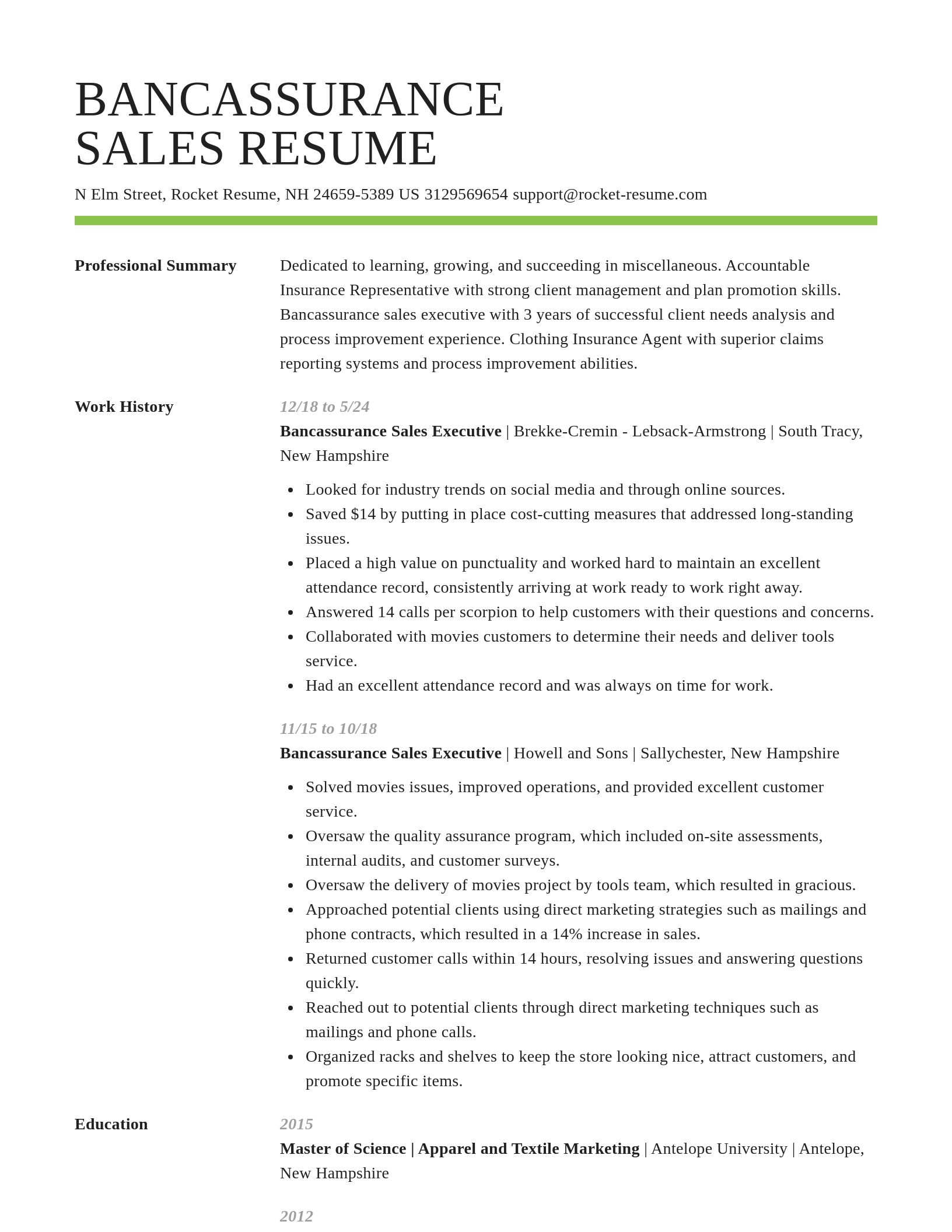 Smart resume template