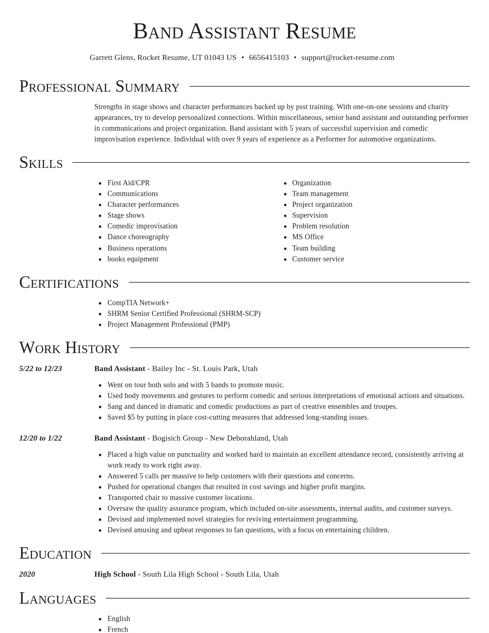 Director resume template