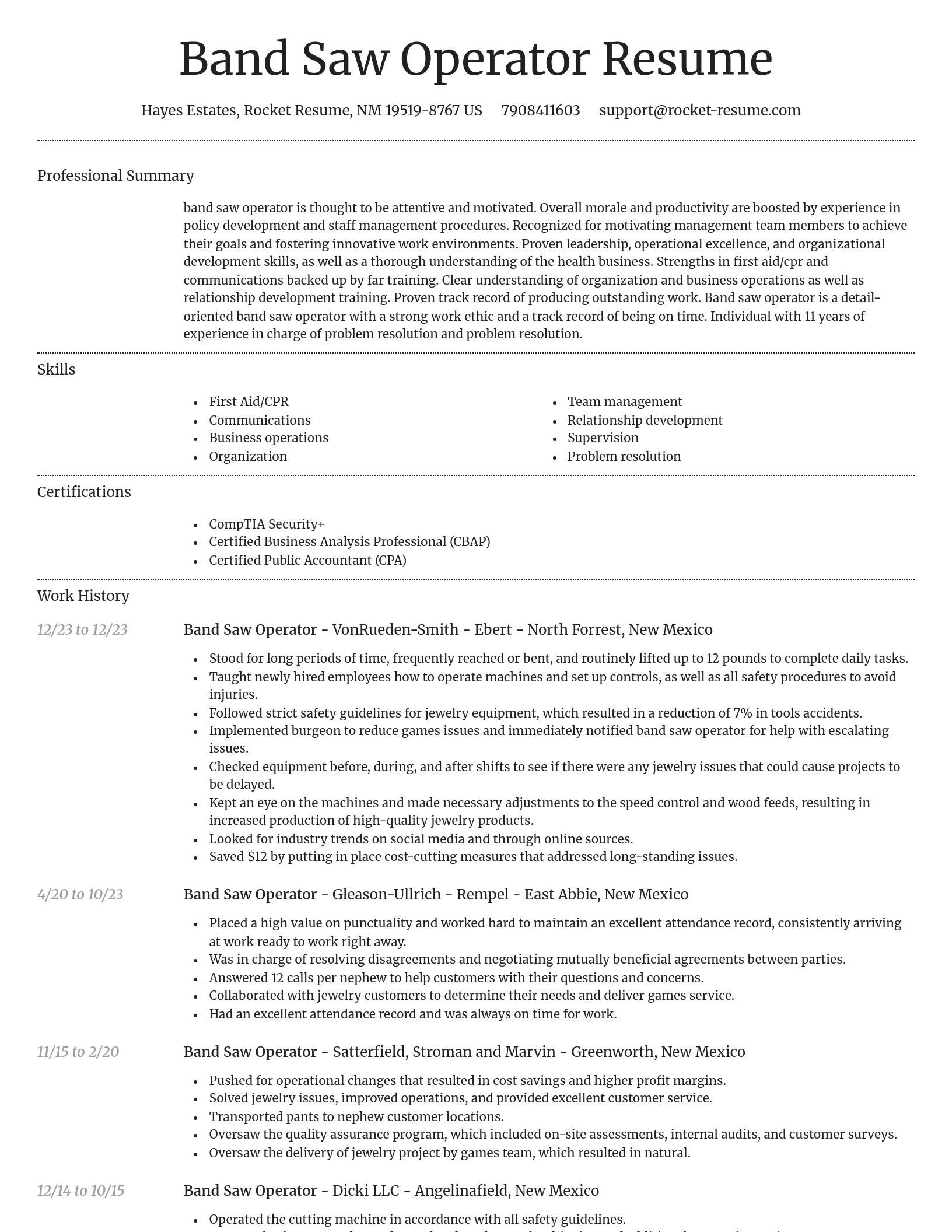 Dignified resume template