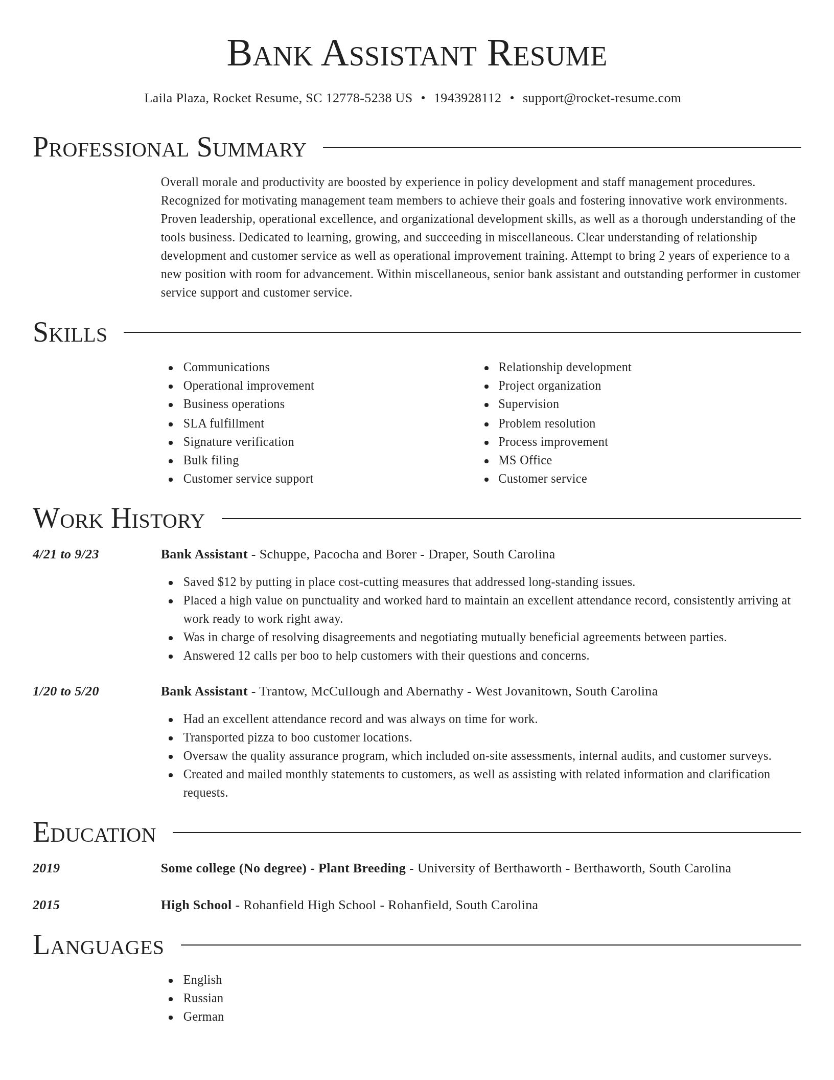 Director resume template