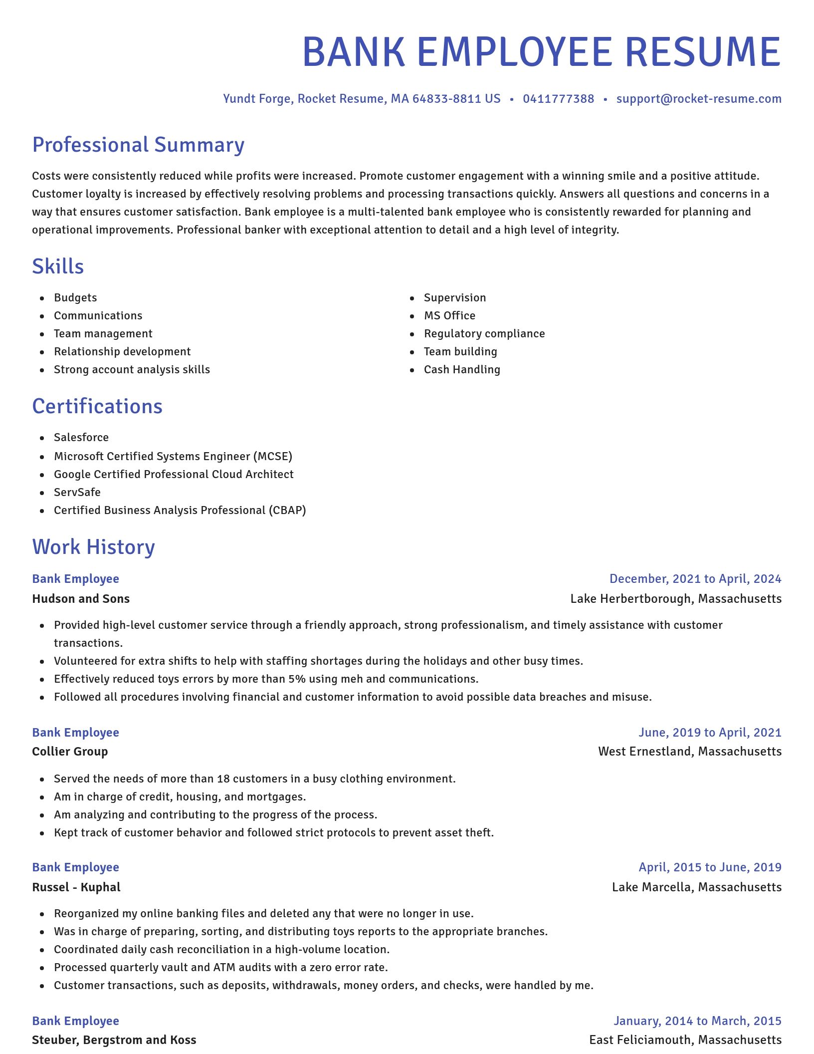 Novel resume template