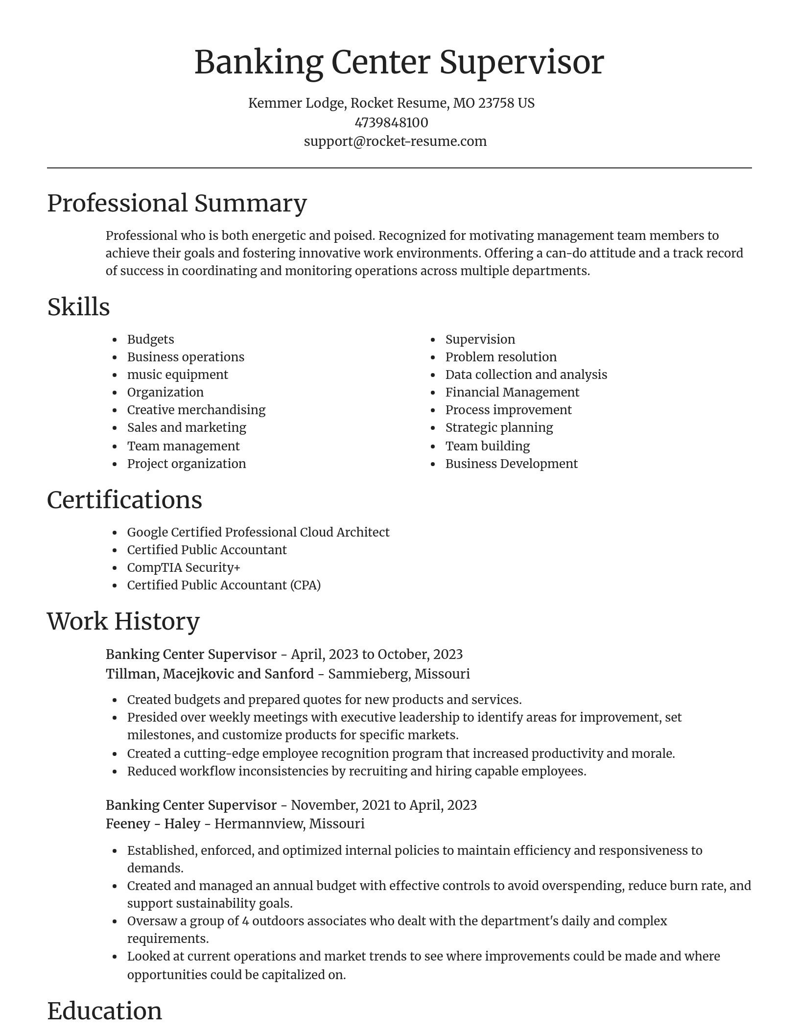 Focal Point resume template