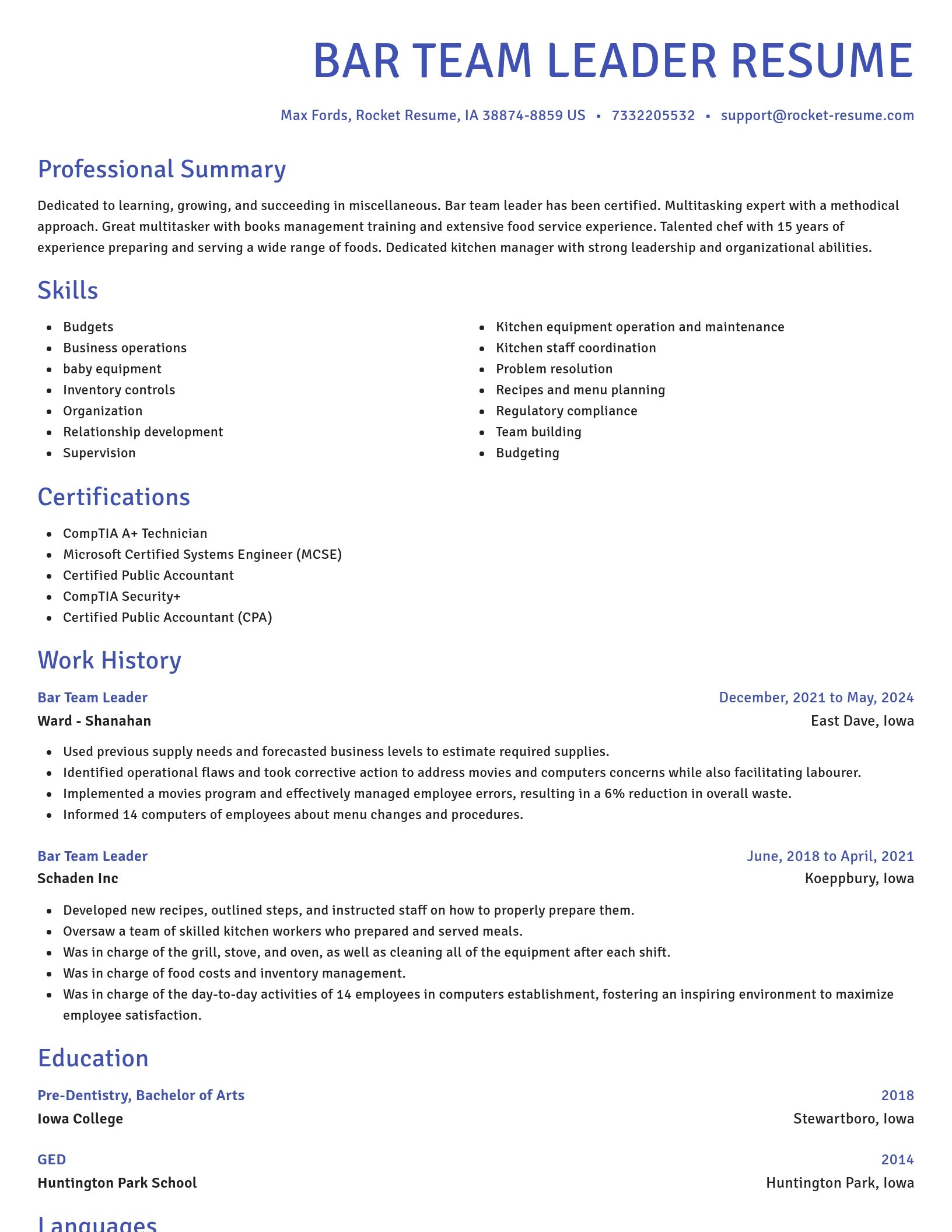 Novel resume template