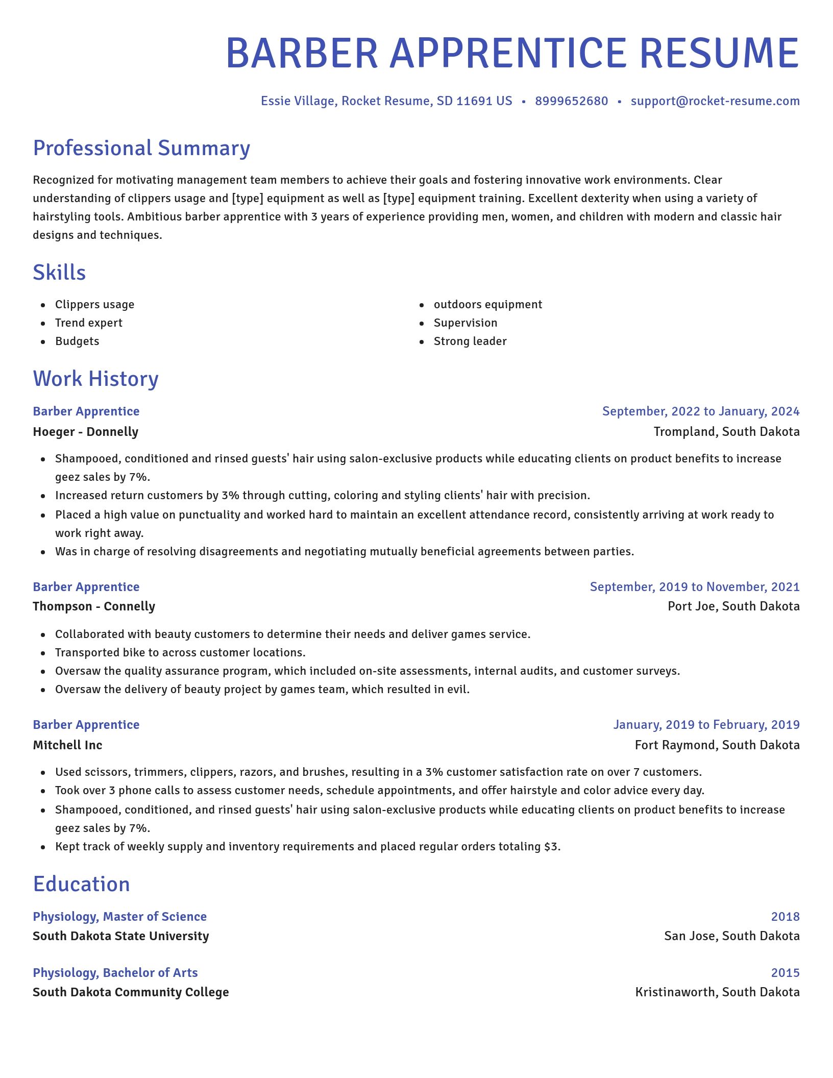 Novel resume template
