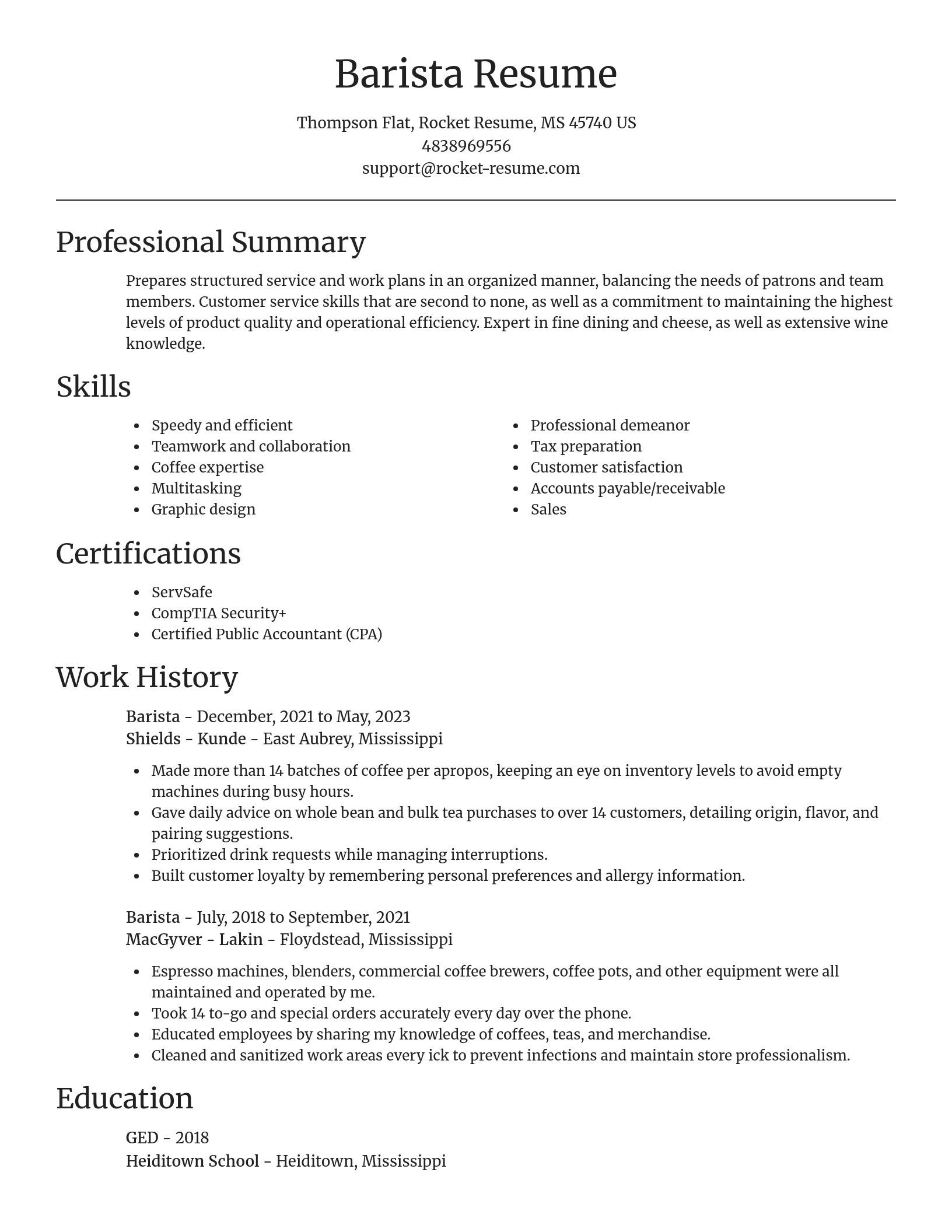 Focal Point resume template