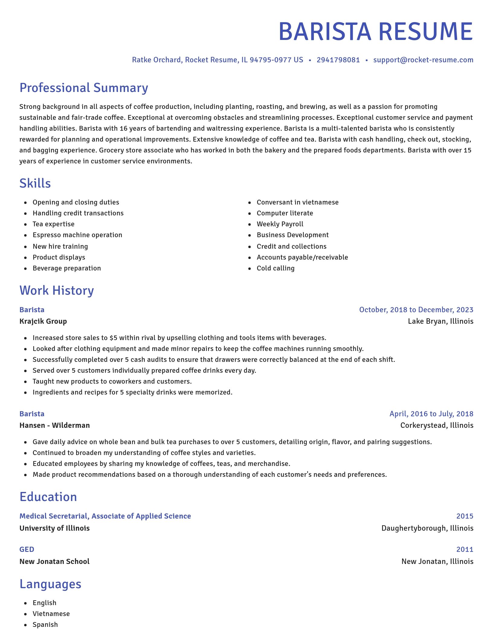 Novel resume template
