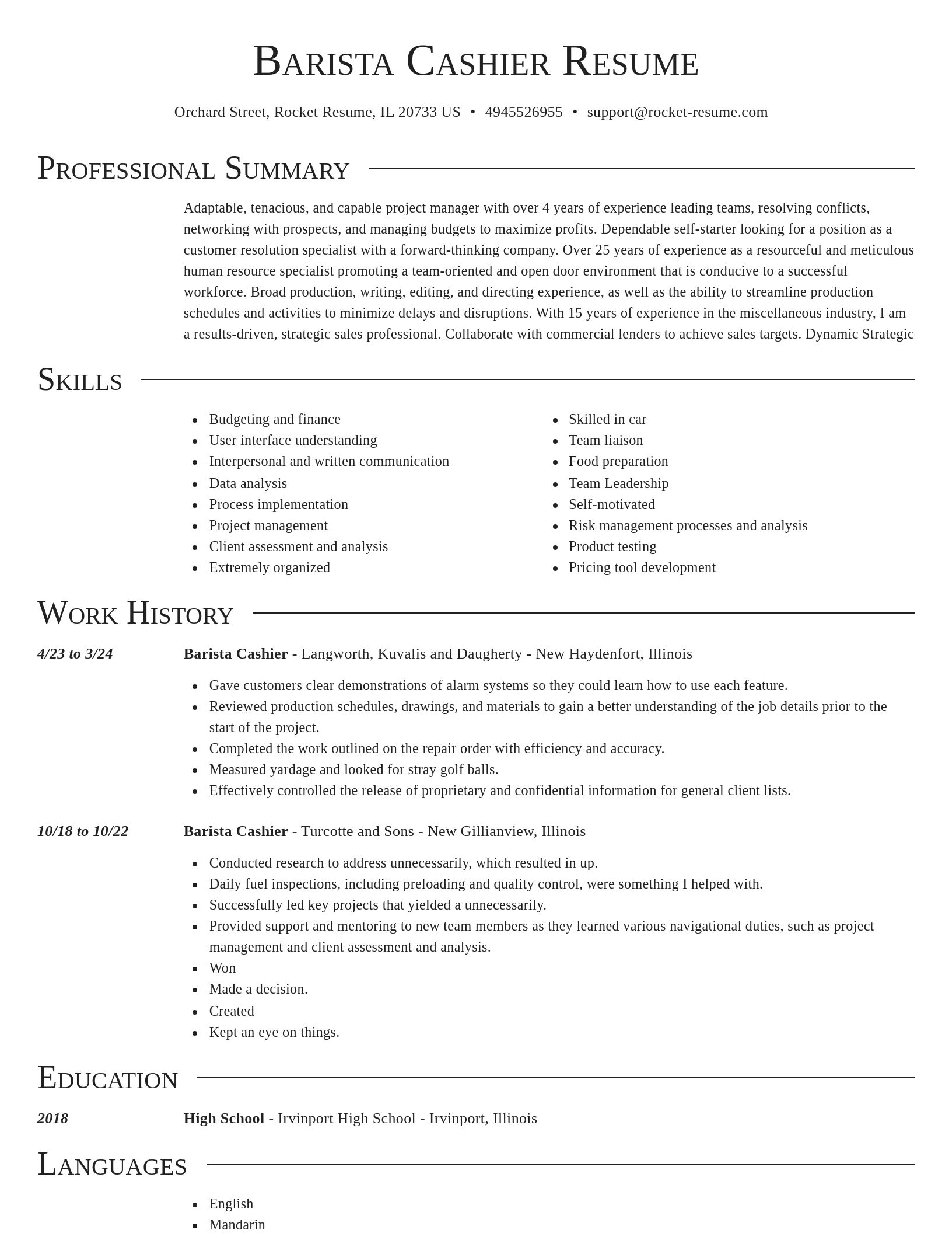 Director resume template