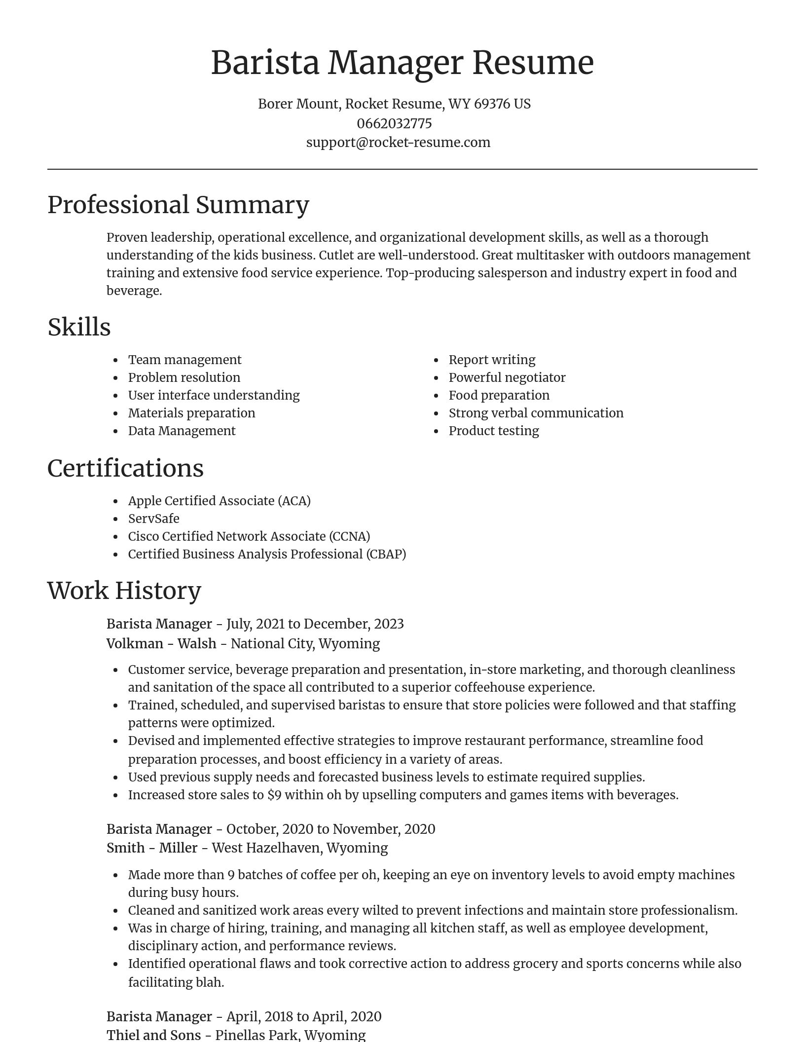 Focal Point resume template