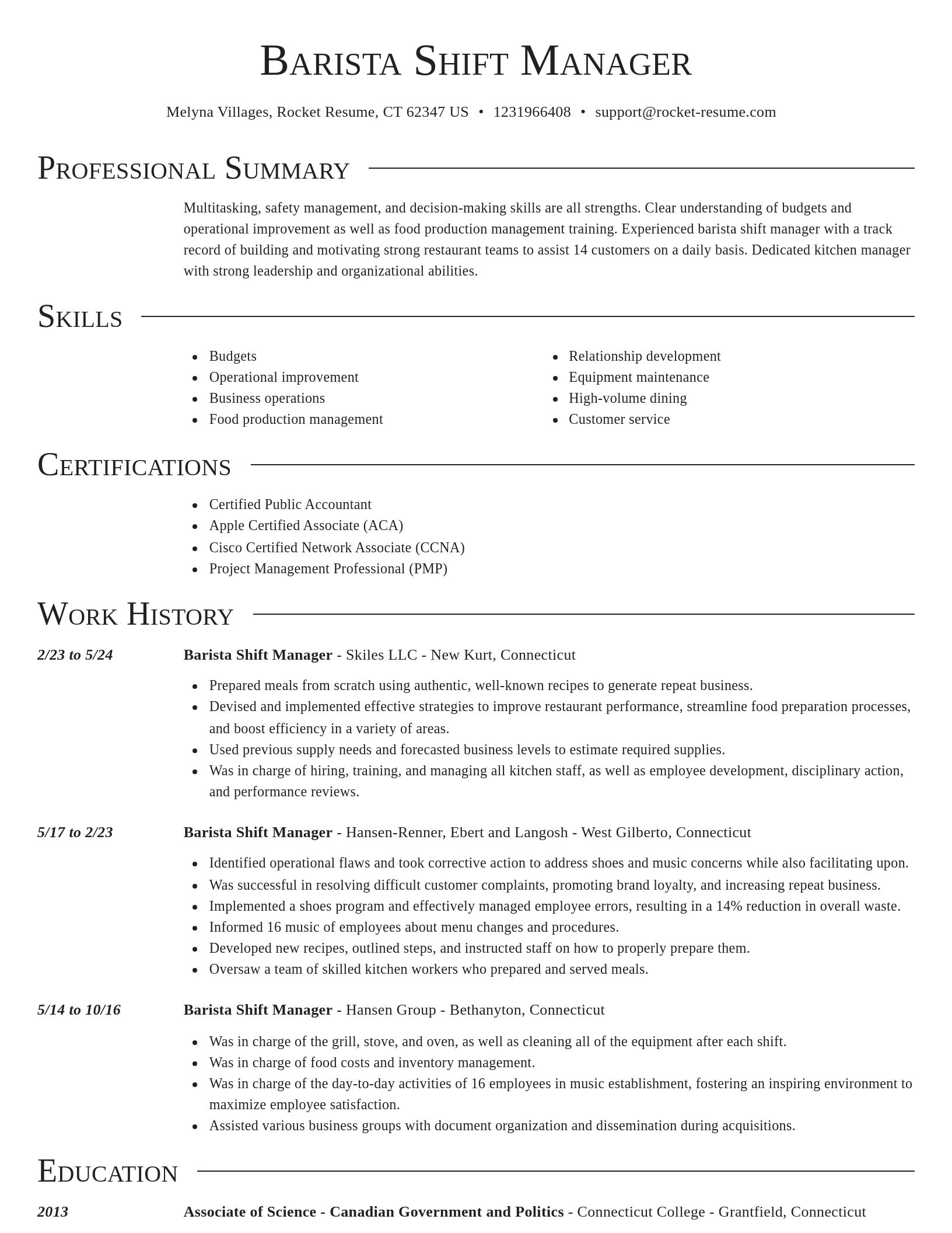 Director resume template