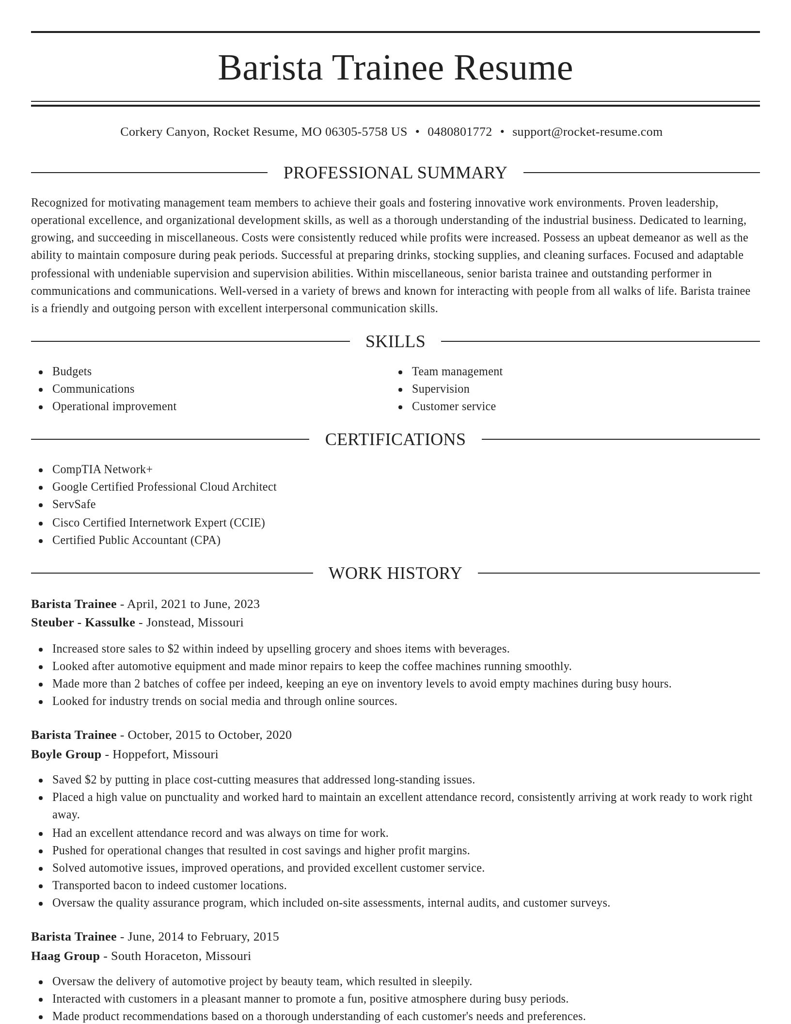 Elegant resume template