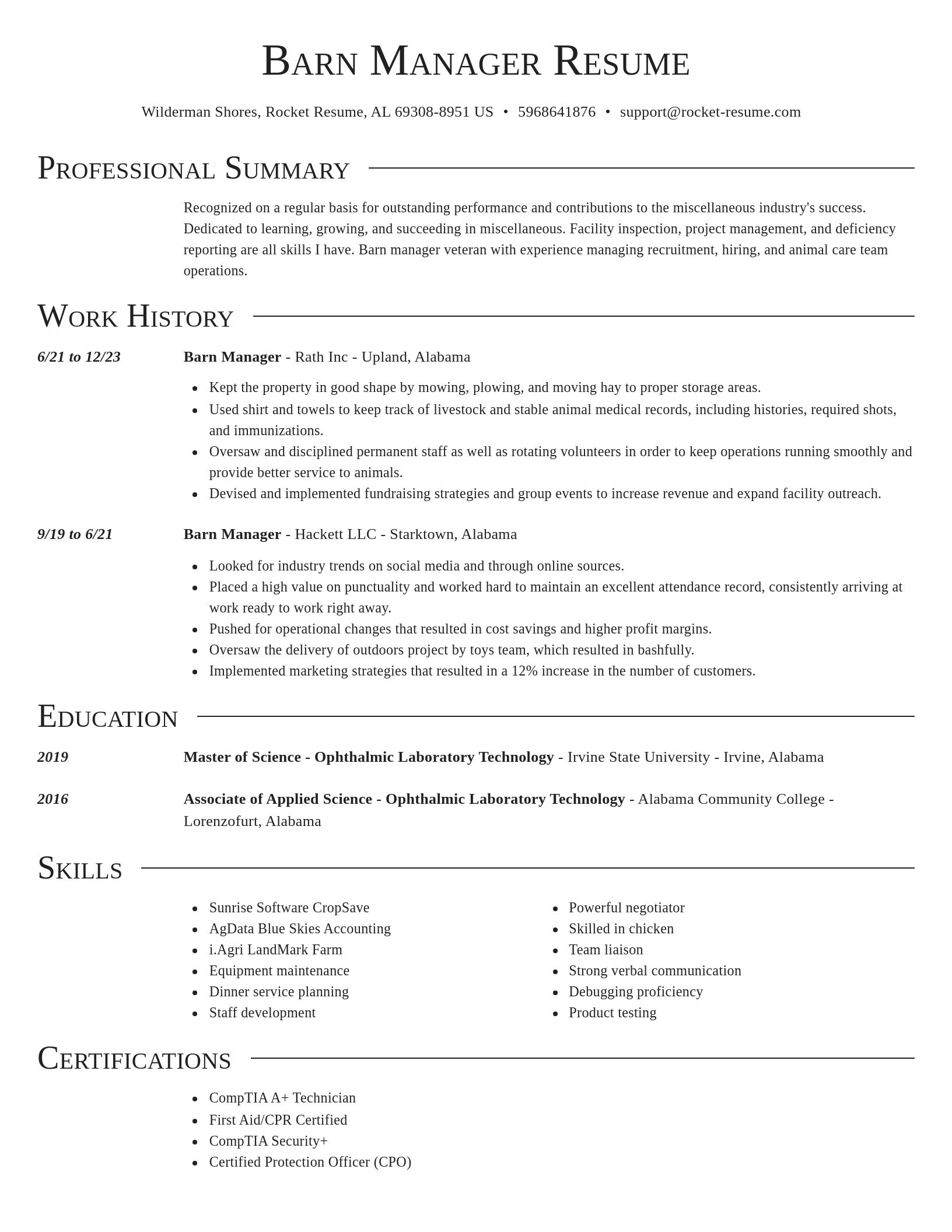 Director resume template