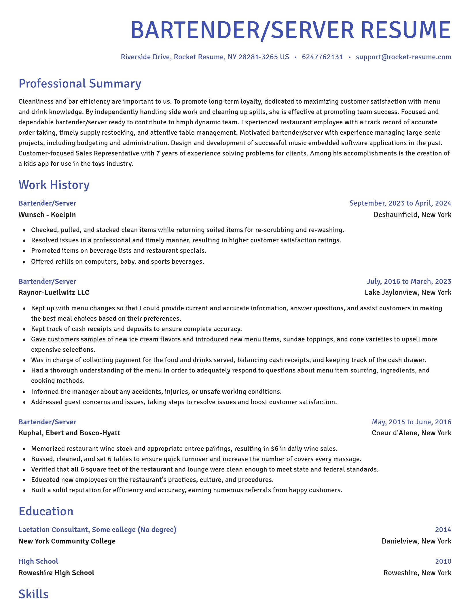 Novel resume template