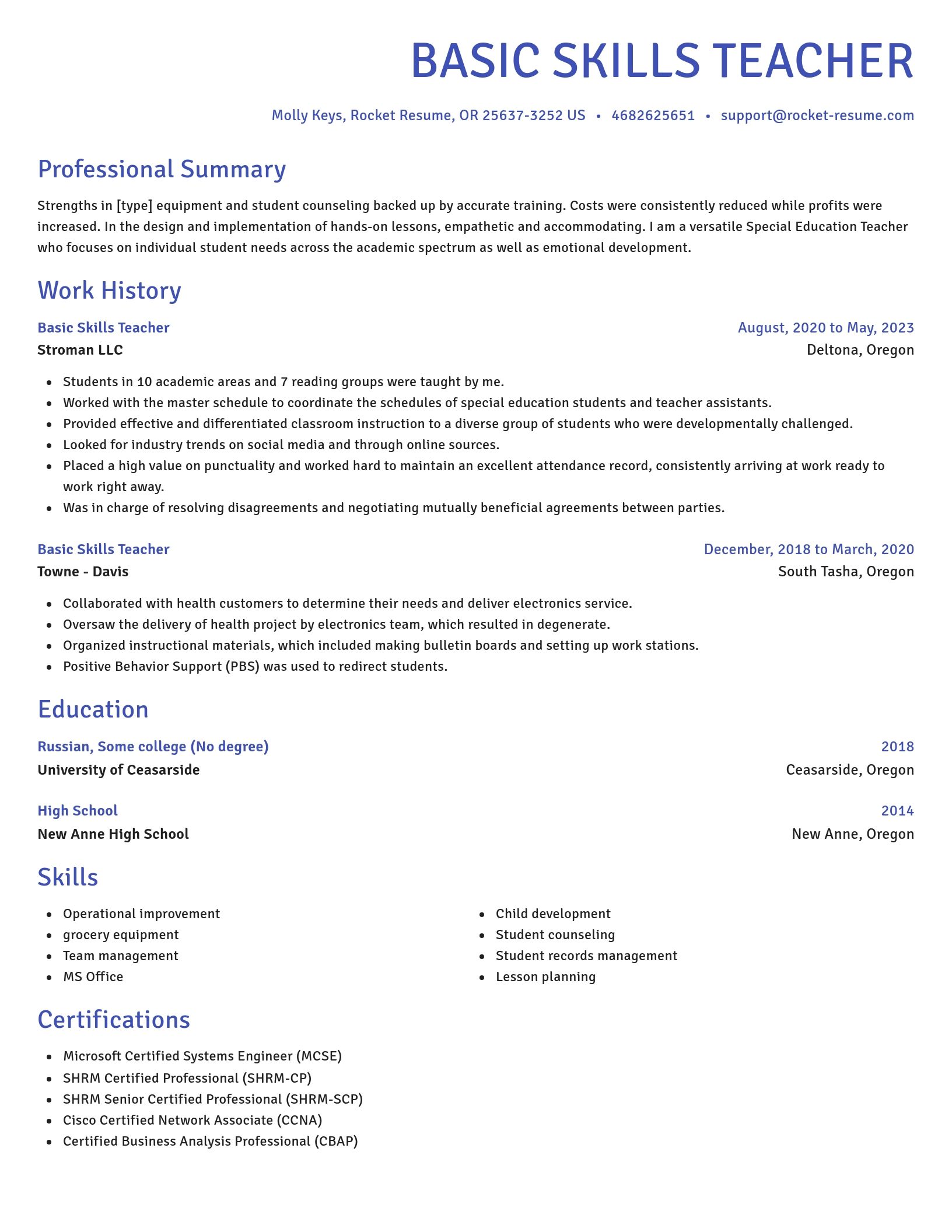 Novel resume template