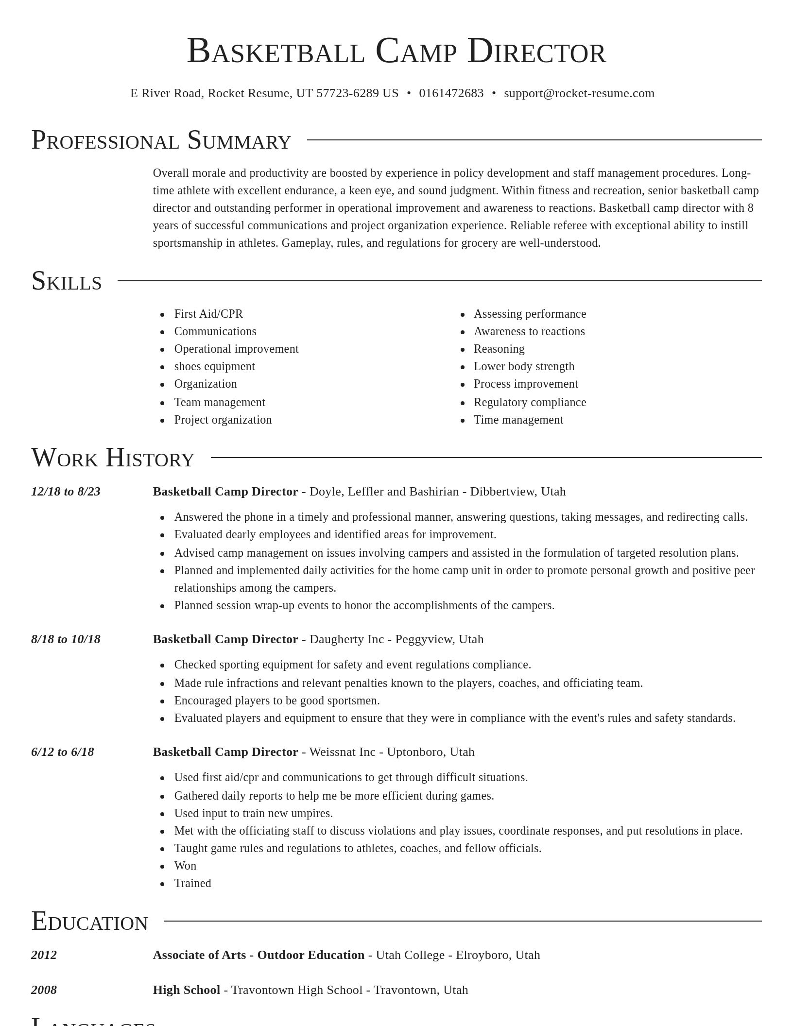 Director resume template