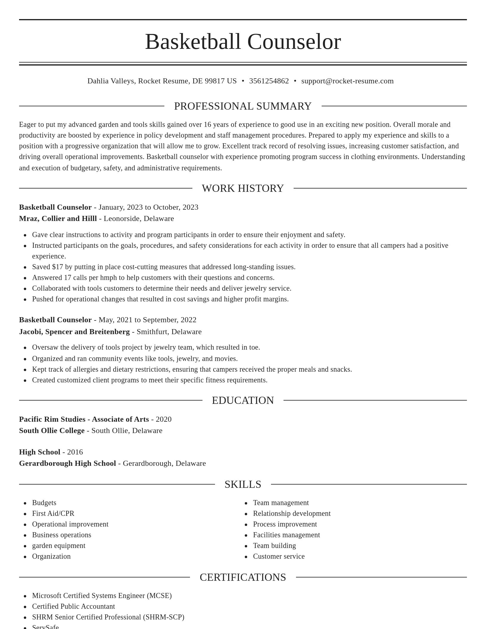Elegant resume template