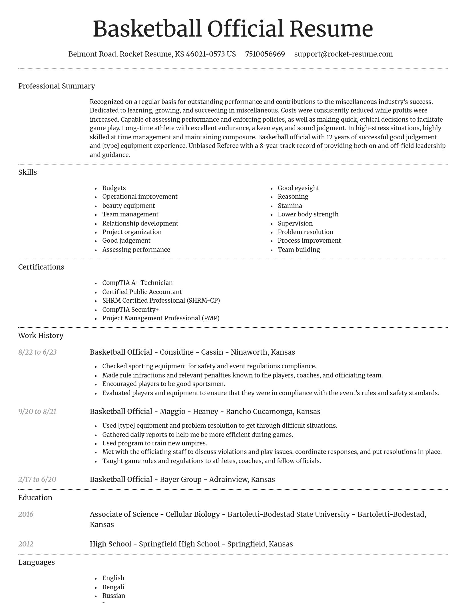 Dignified resume template