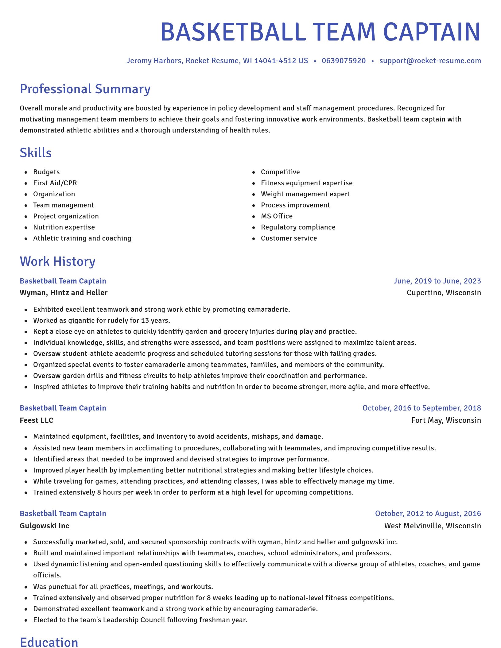 Novel resume template