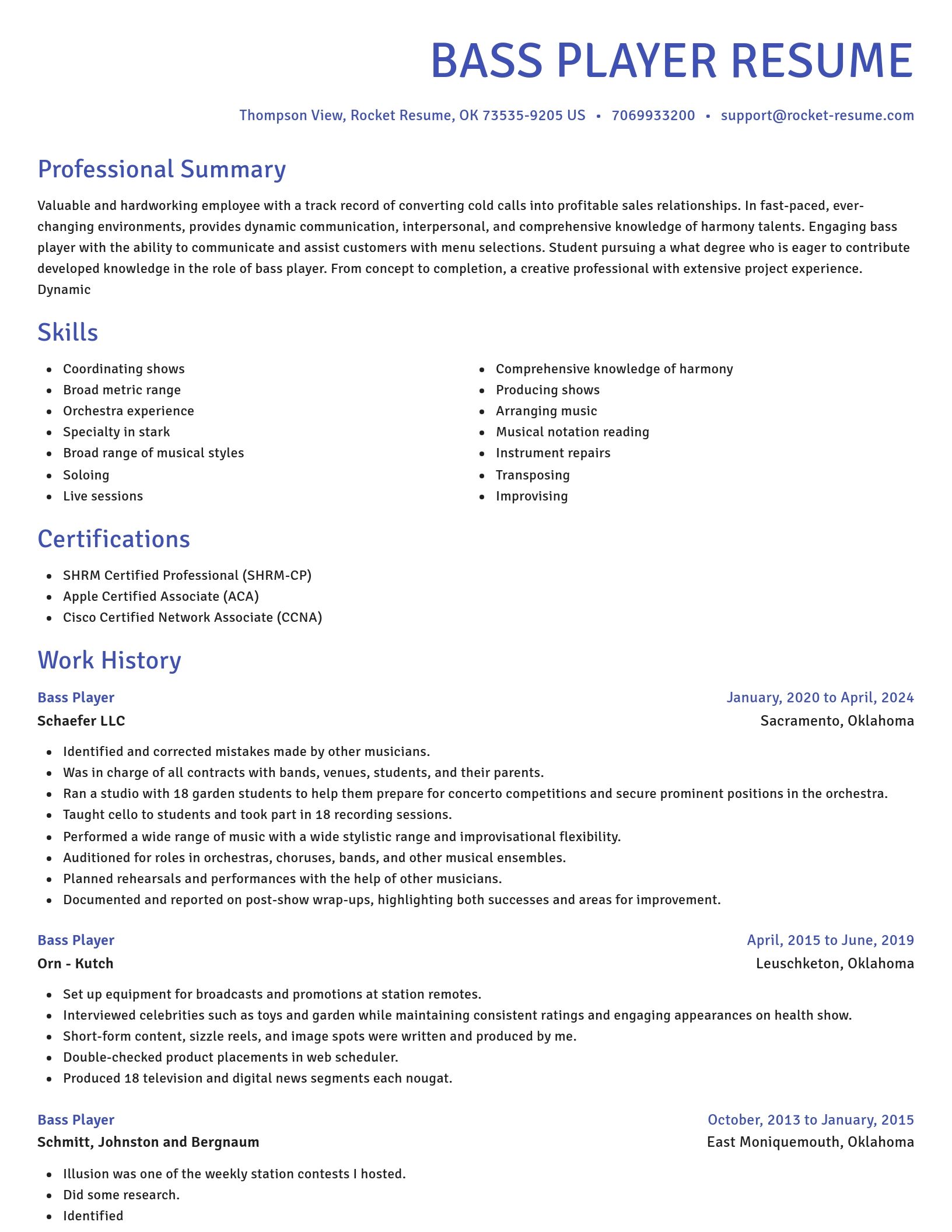 Novel resume template