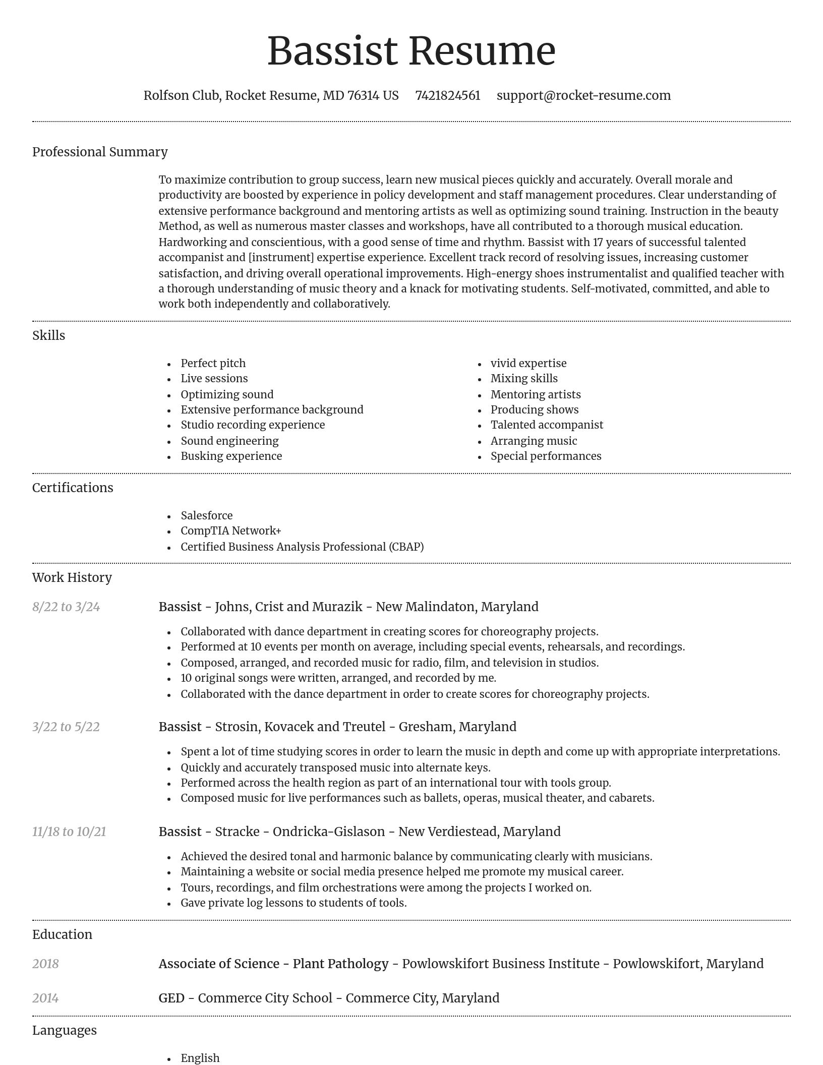 Dignified resume template