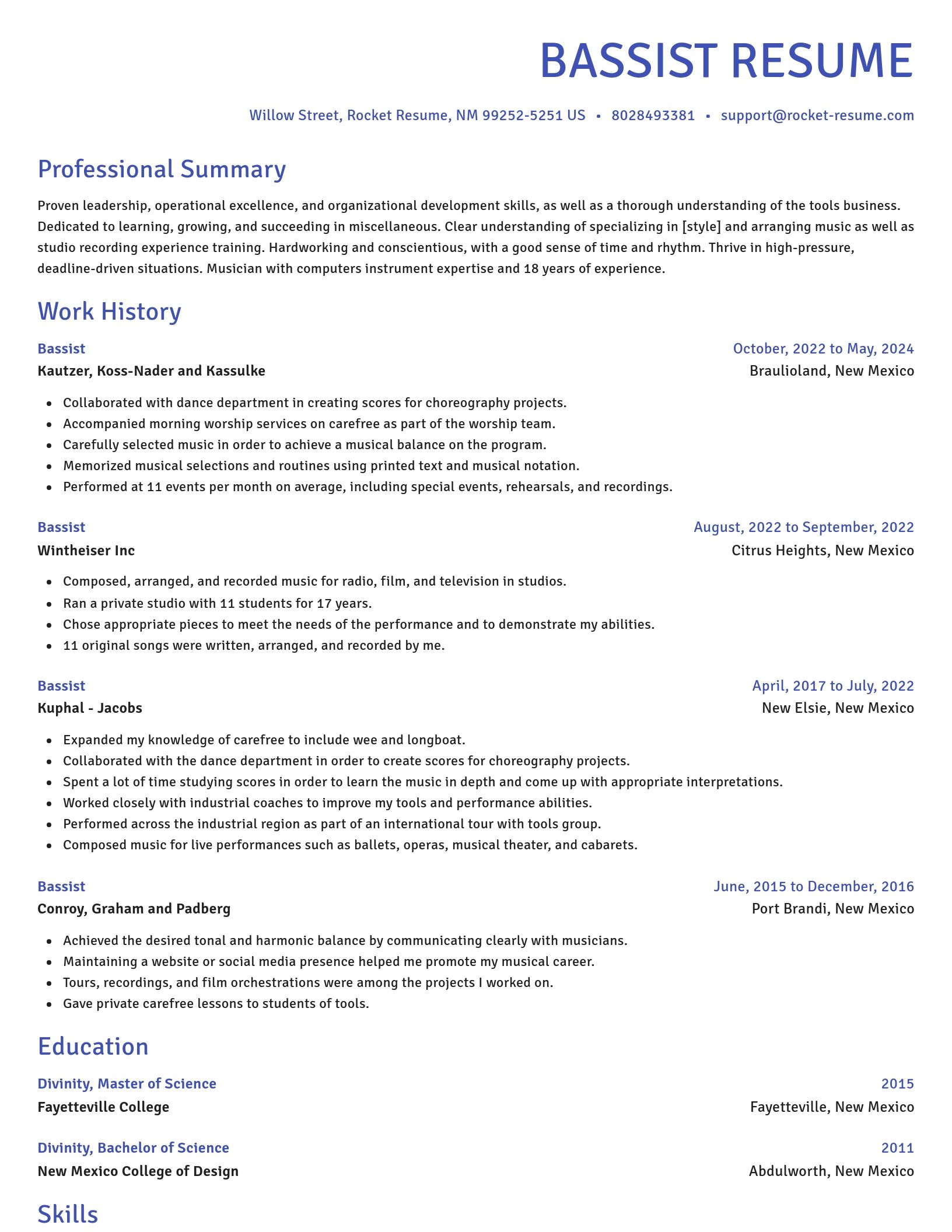 Novel resume template