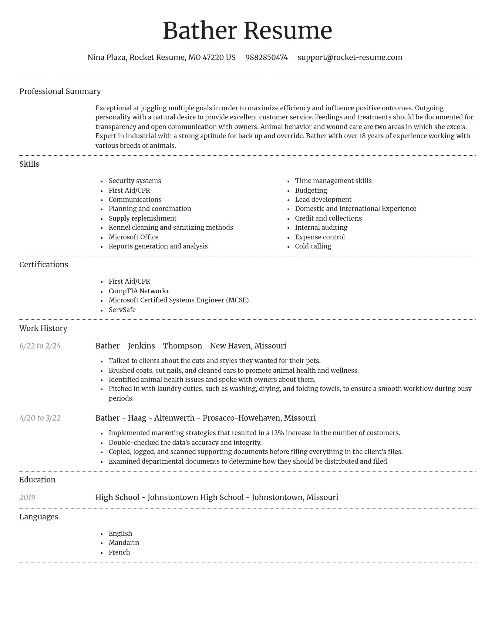 Dignified resume template